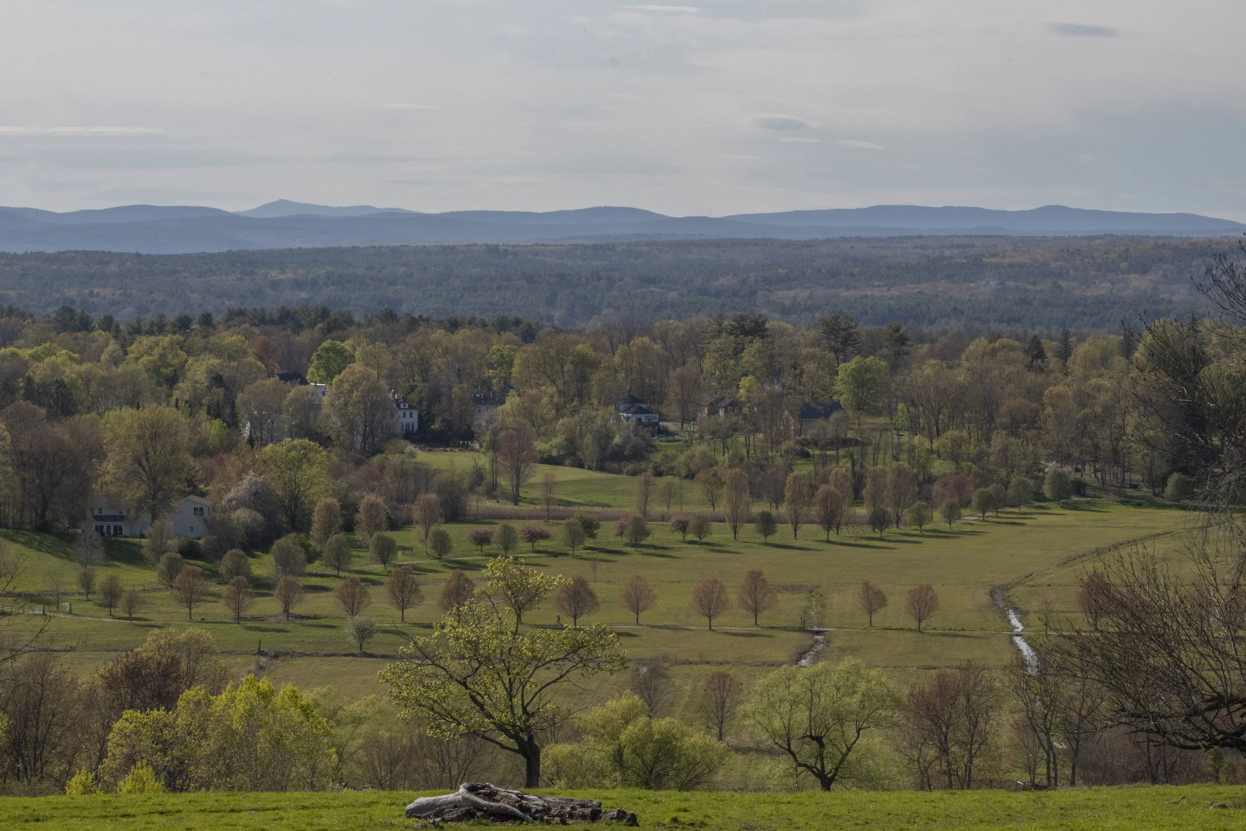 landscape1.jpg