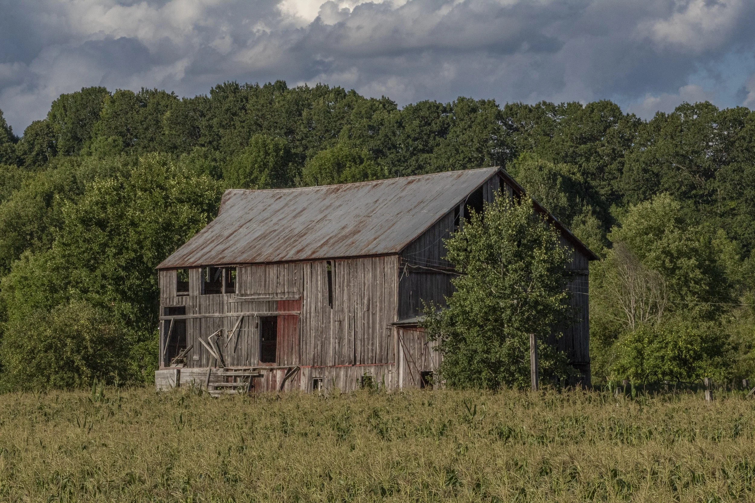 abandoned barn2020.jpg