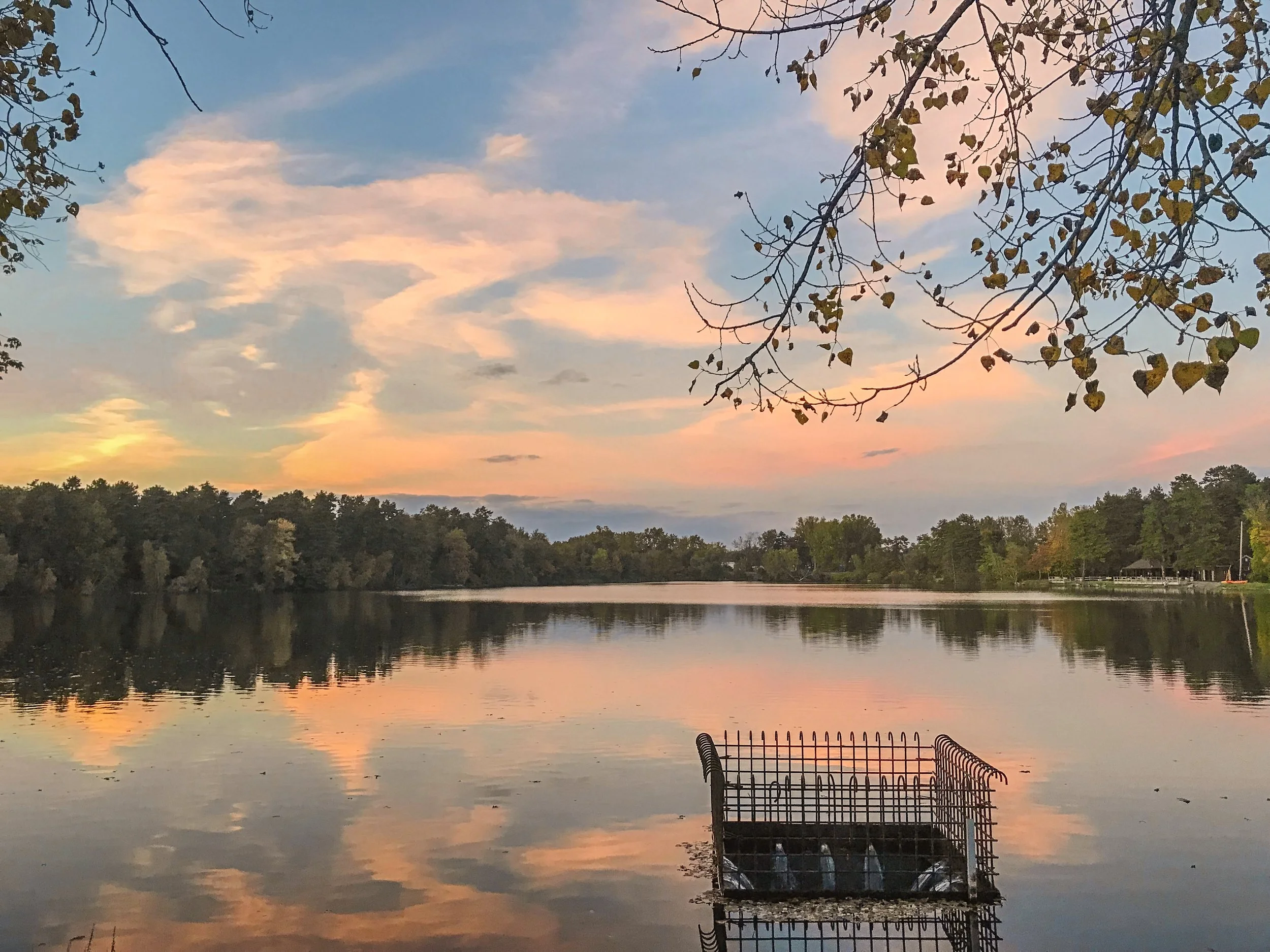 sunset fall 2018.jpg