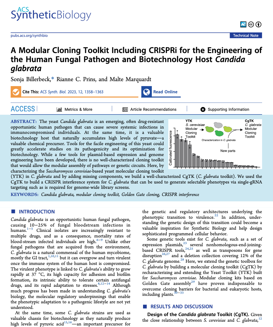 Screenshot 2023-10-23 at 21.33.02.png