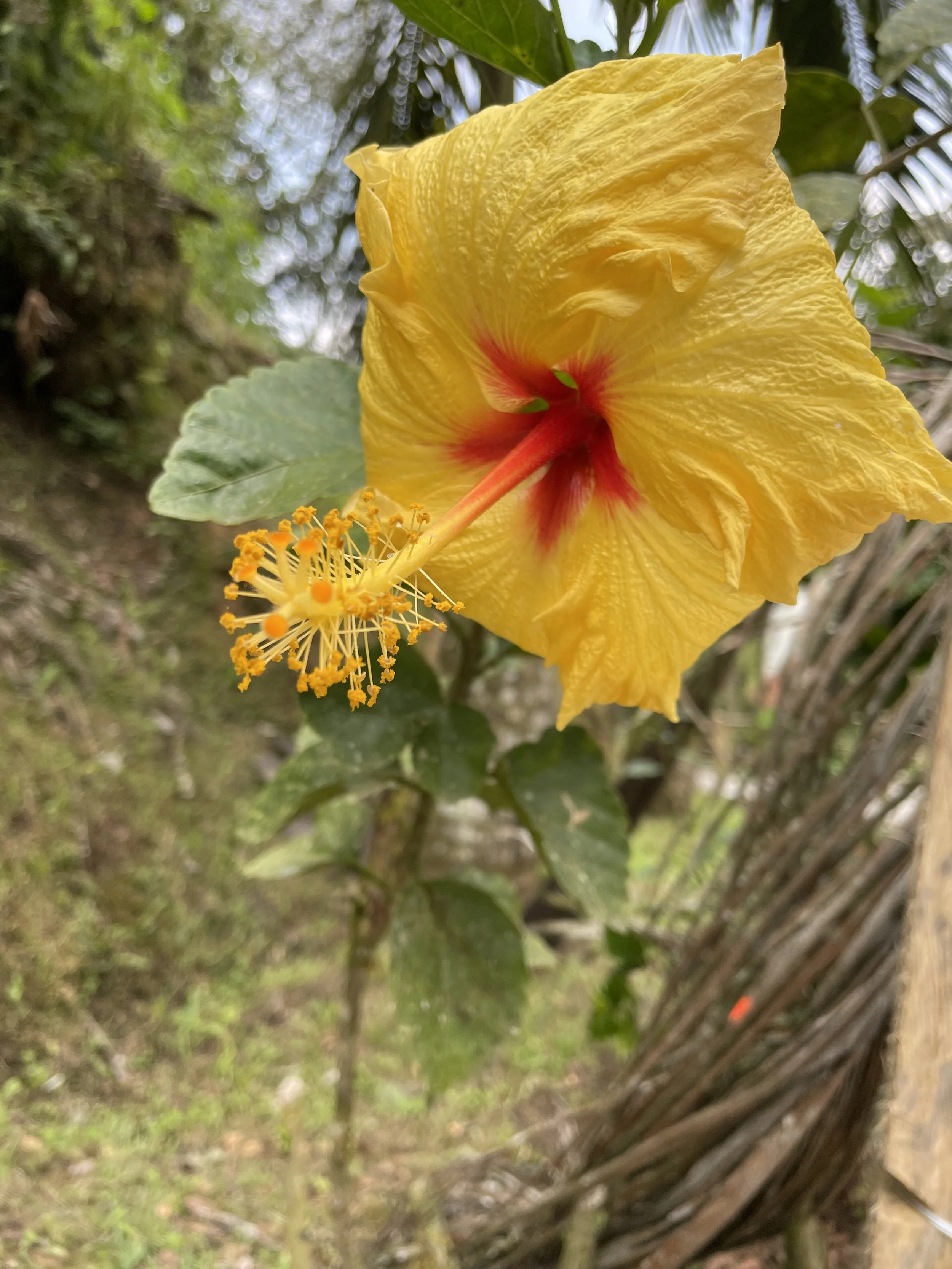 IMG_3102.jpeg