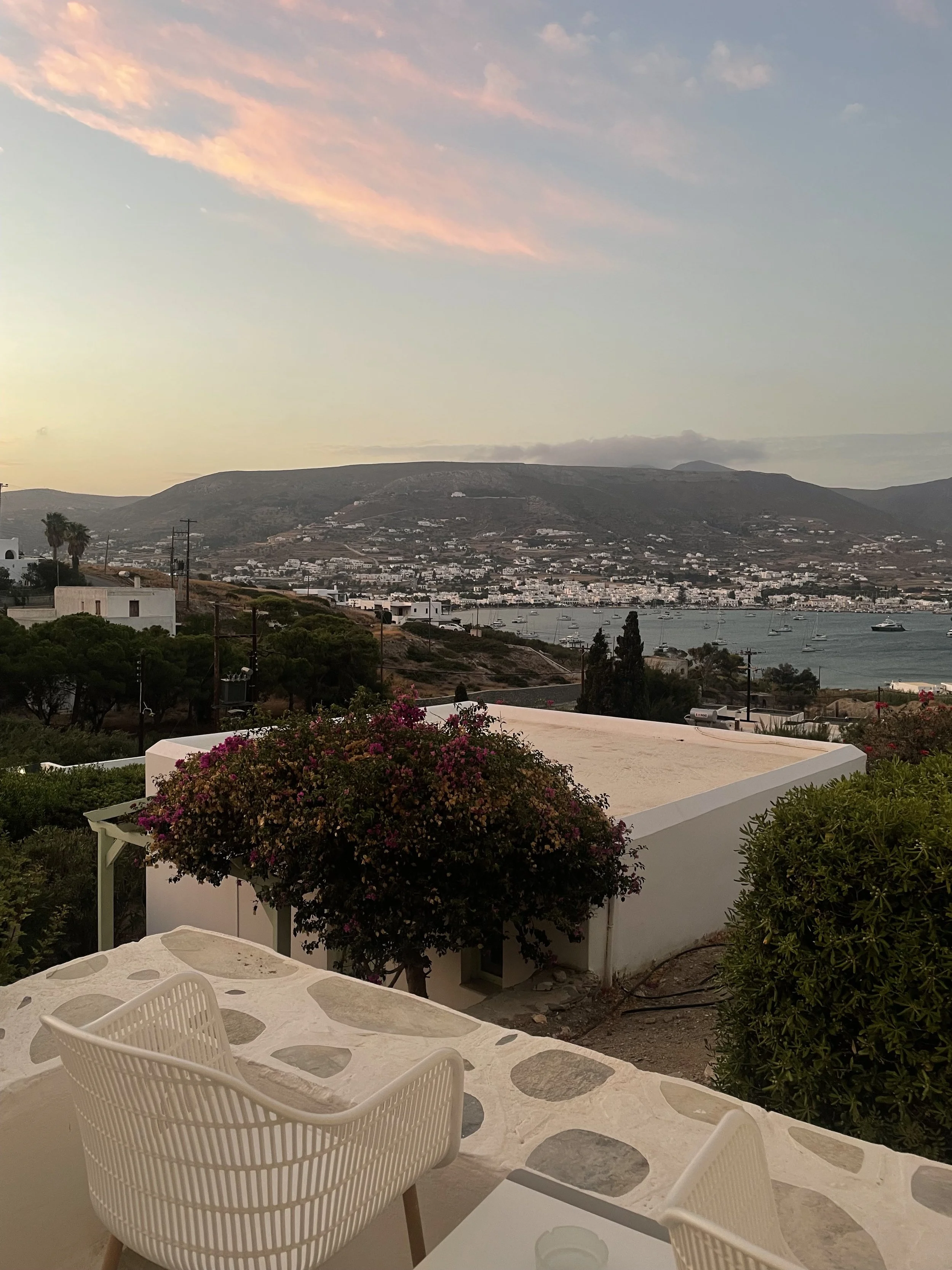 IMG_4803.jpeg