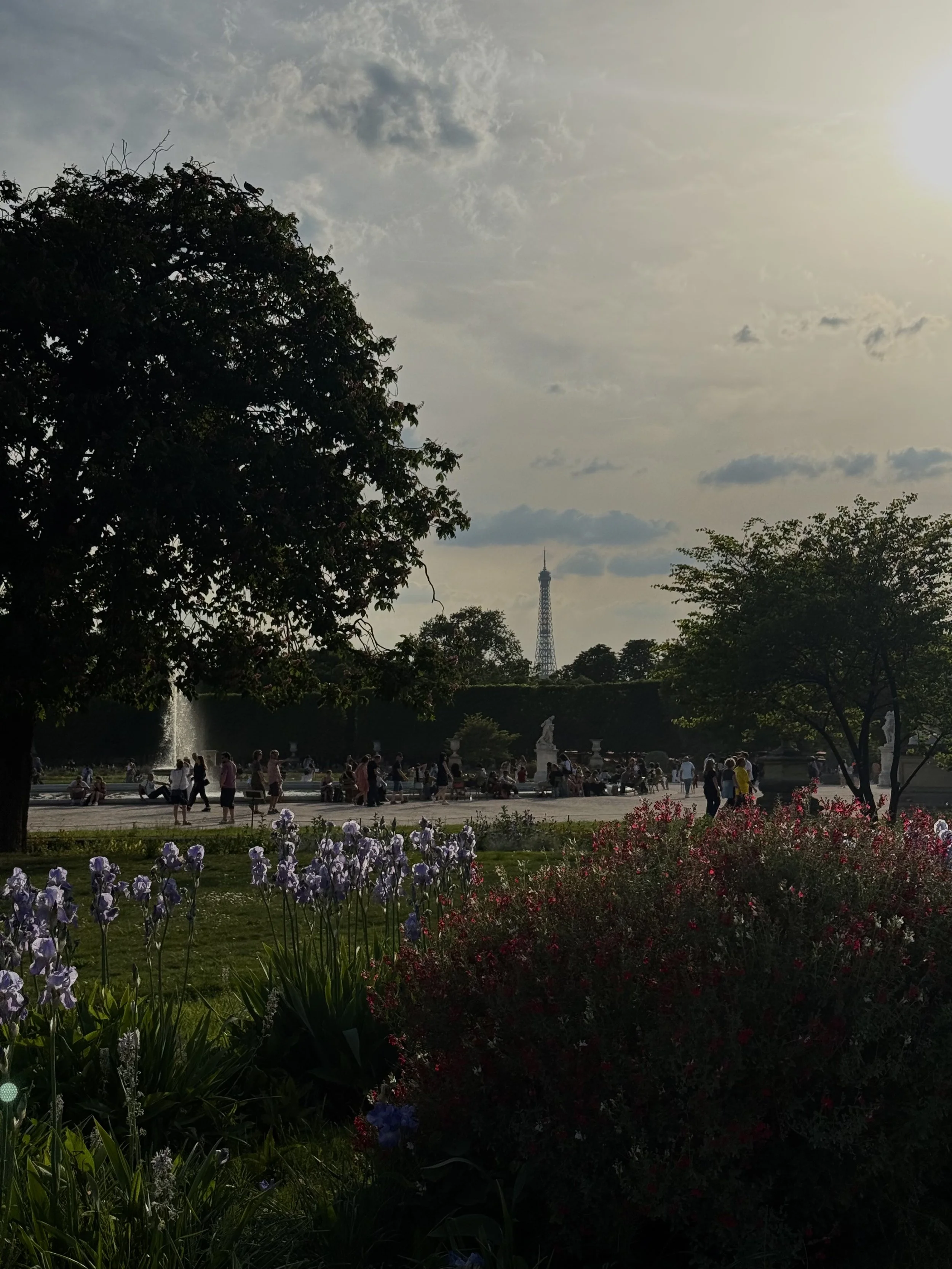IMG_6167.jpeg