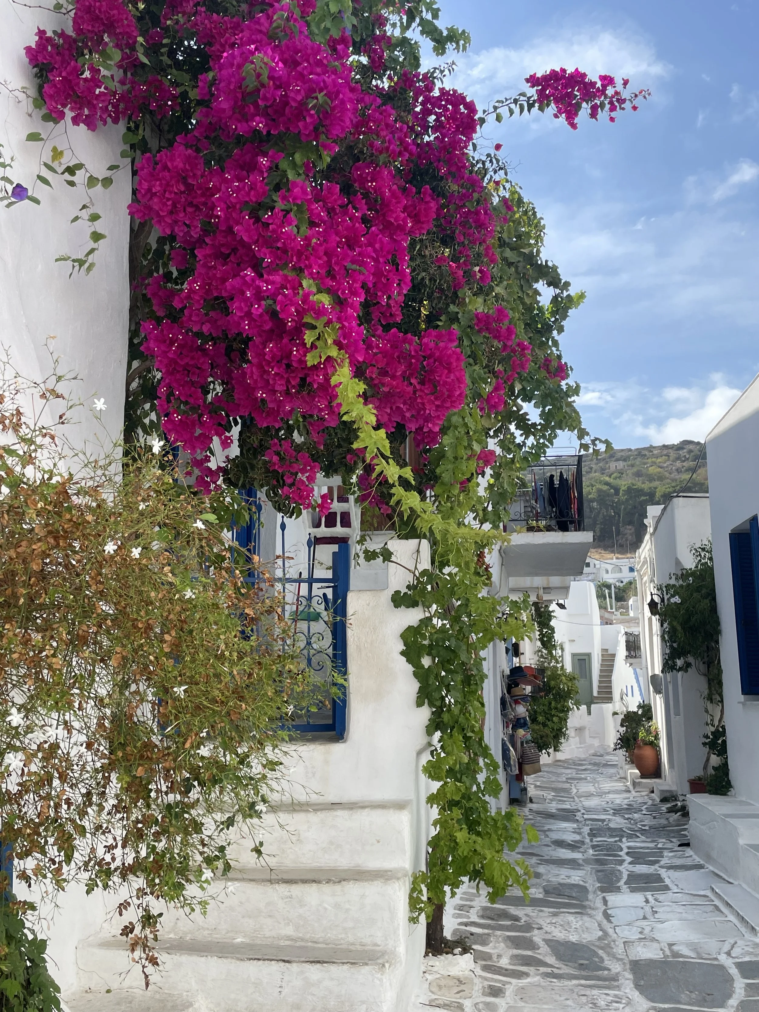 IMG_5058.jpeg
