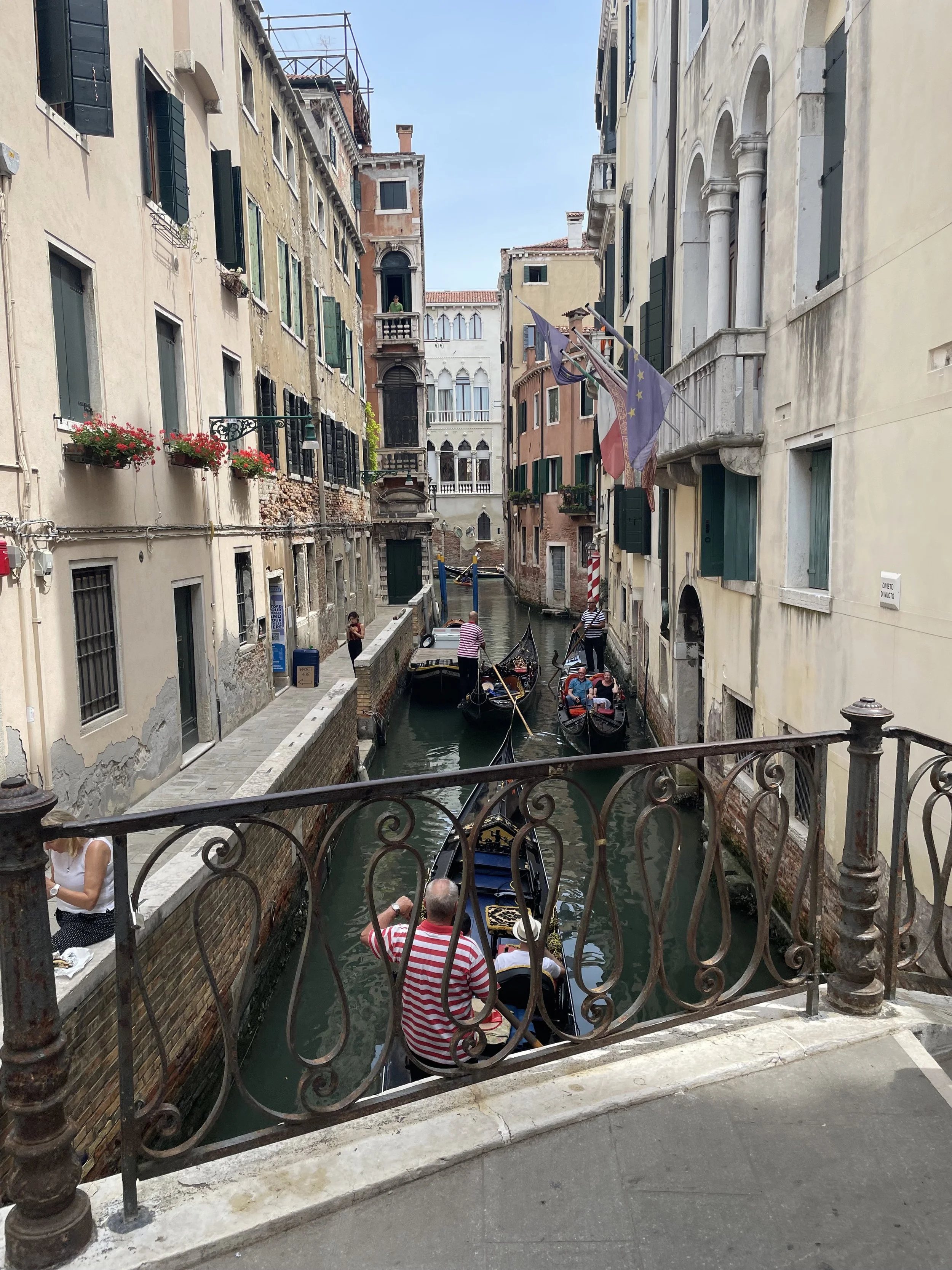 IMG_3933.jpeg