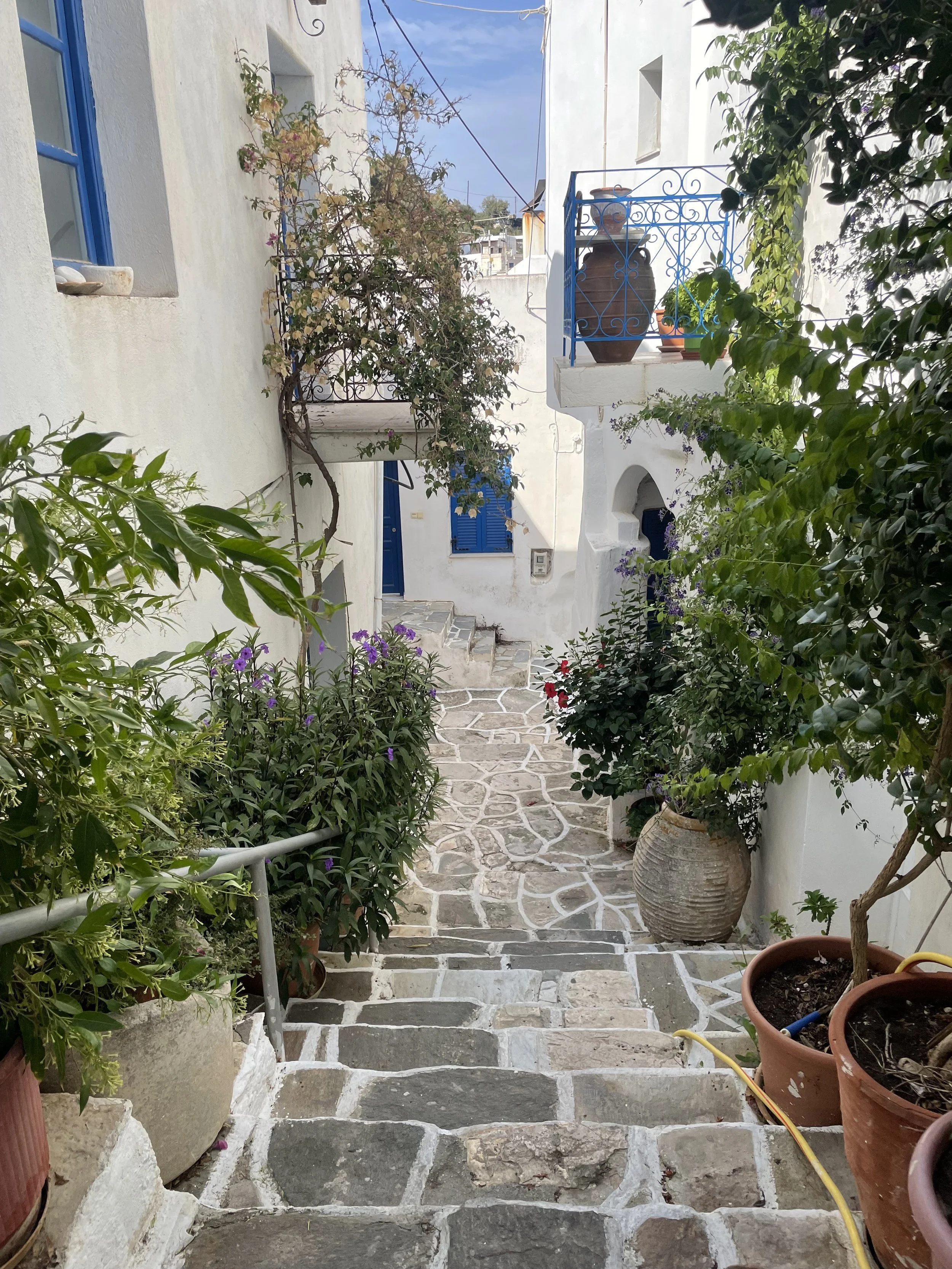 IMG_5029.jpeg