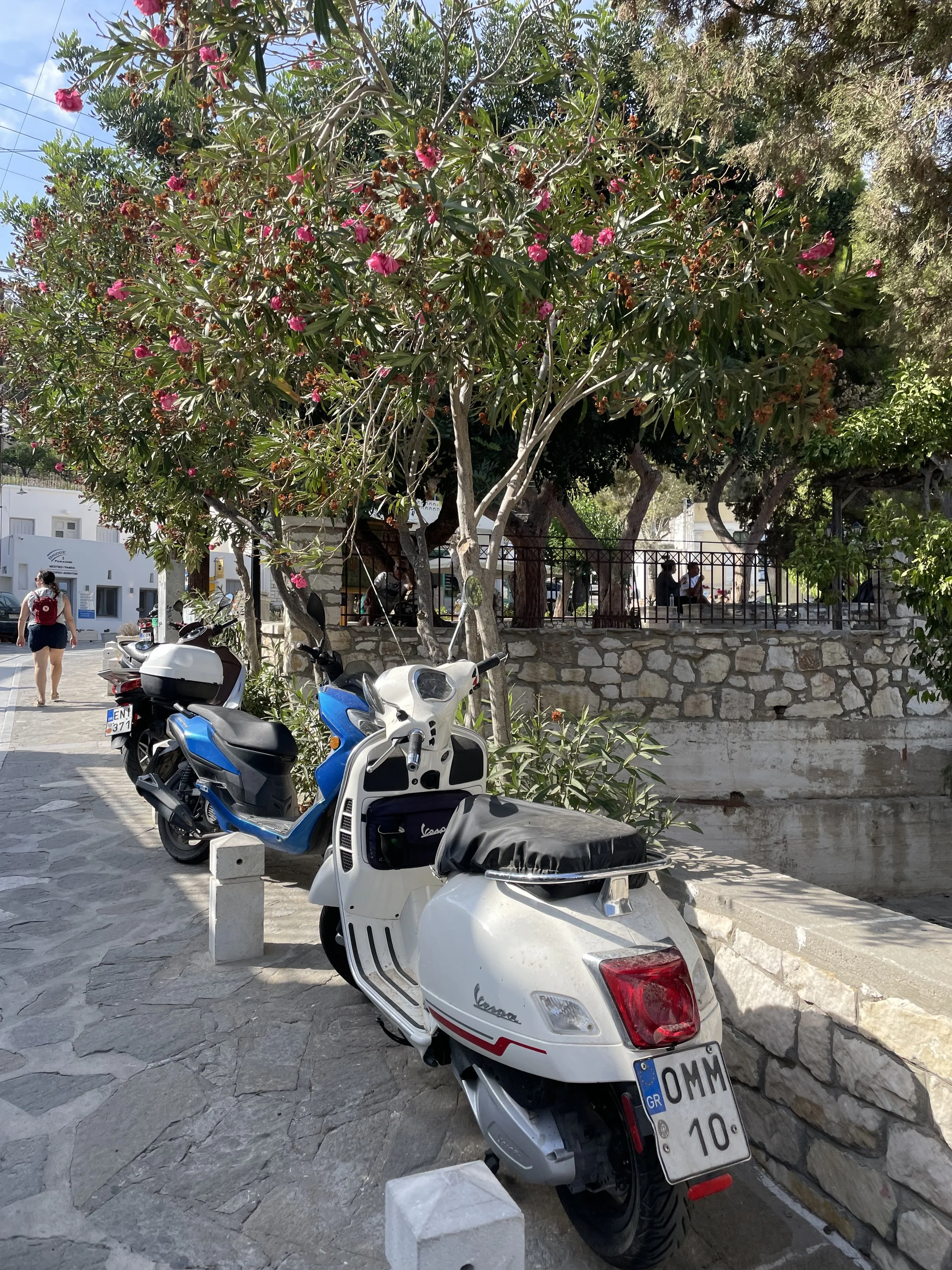 IMG_5090.jpeg