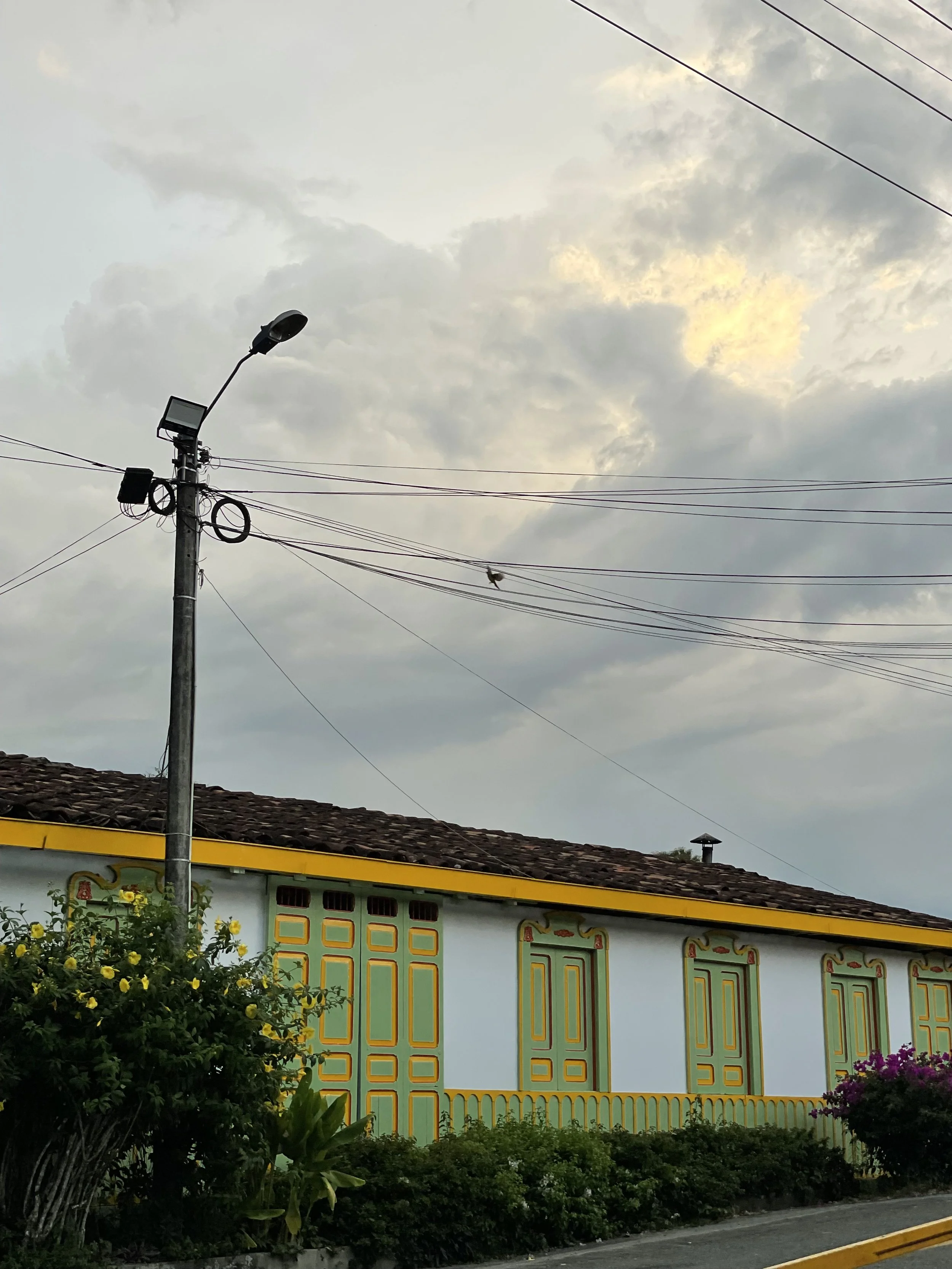 IMG_2909.jpeg