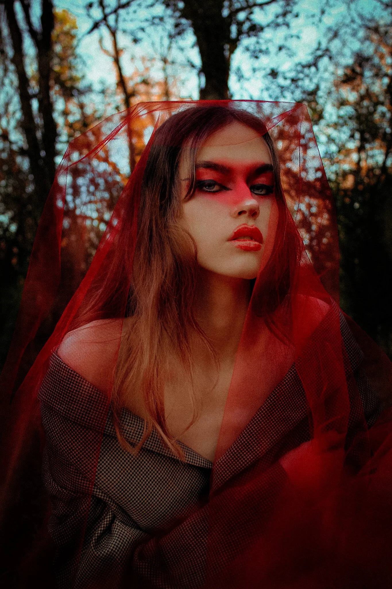 Image 12-11-20 at 1.45 PM.jpg