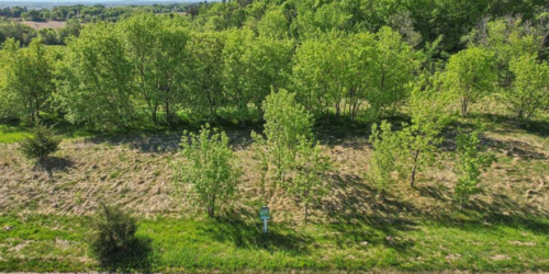 Available | Lot 10 Blk 5