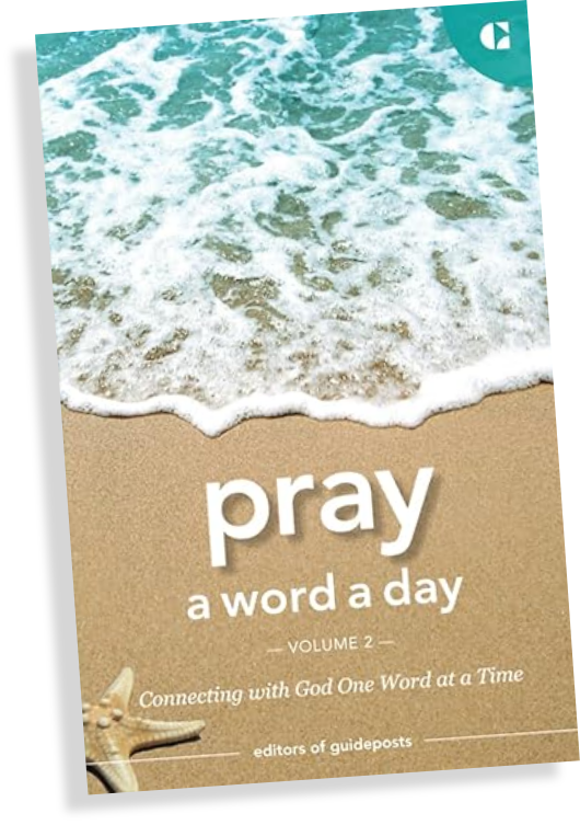 Pray A Word A Day Volume 2 Liz Ditty Pray a word a day volume 2 liz ditty