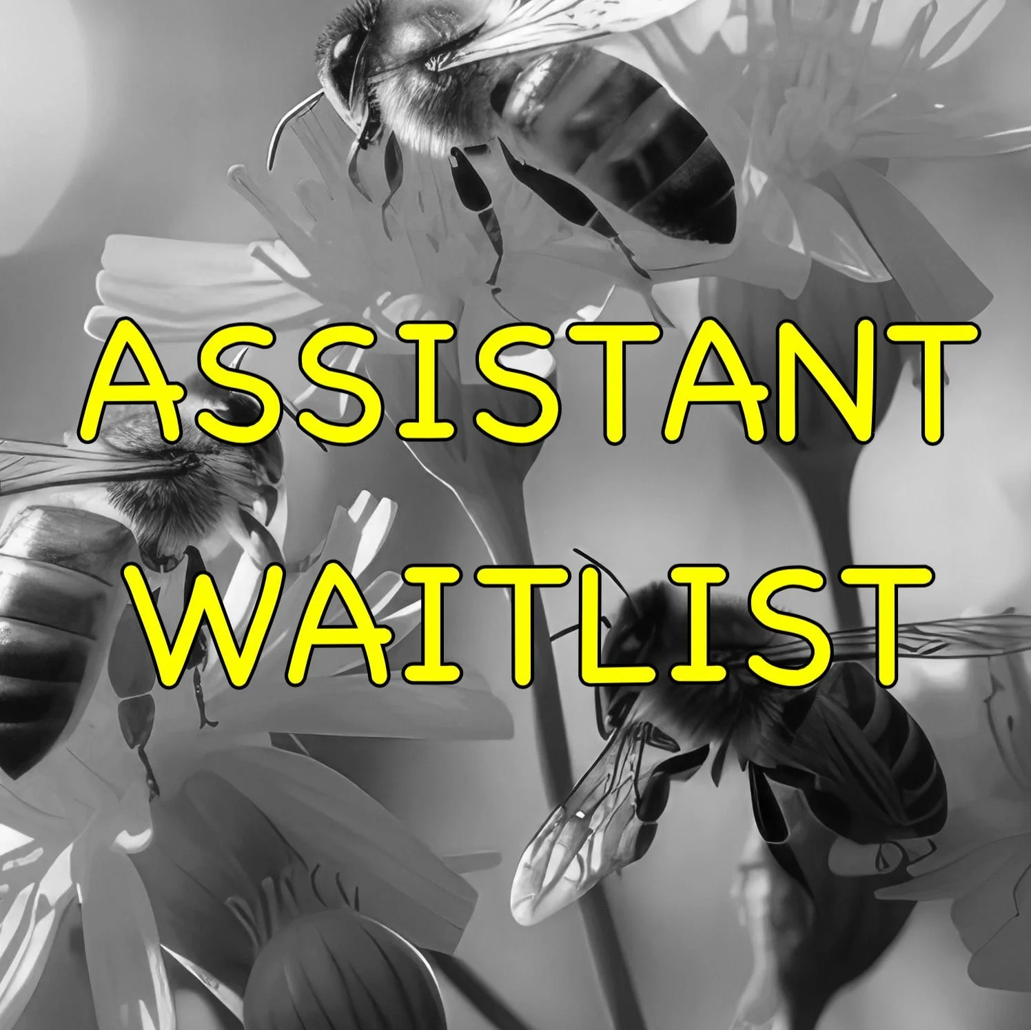 WAITLIST: Discover Magnificence Assistant February 19th-22nd 2026