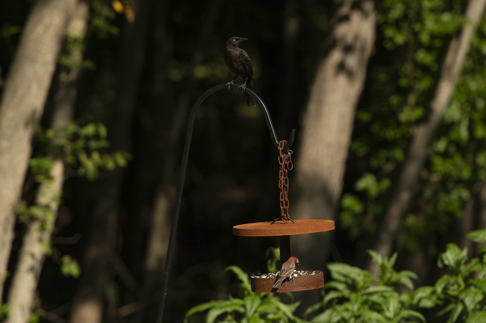 20260723_Cortzen_Decor_0015_WEB.jpg
