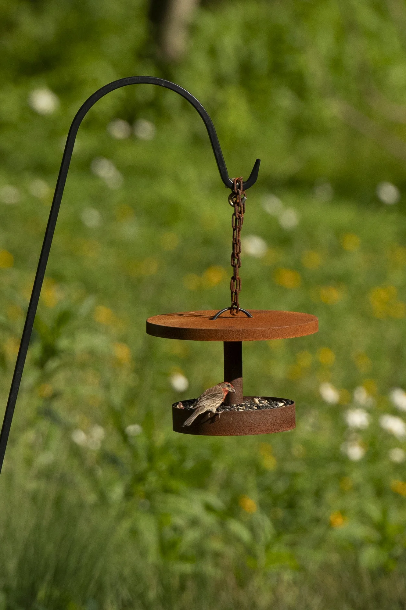 20260723_Cortzen_Decor_0025_WEB.jpg