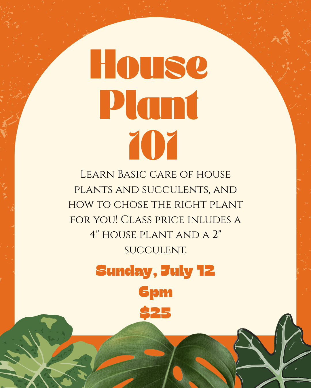 House Plant 101 Sunday July 12 at 6pm