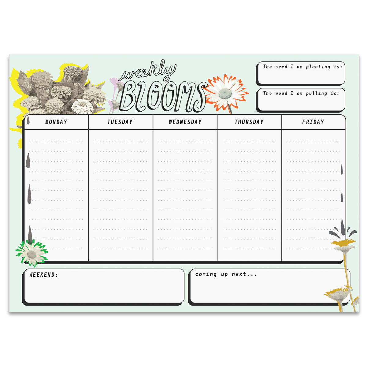 'Weekly Bloom' todo list pad prototype made for CHANI Inc. (was not printed)