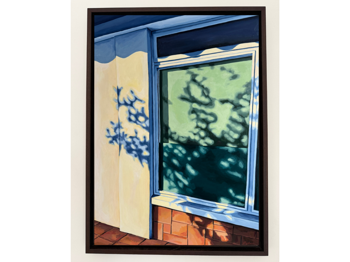 Dappled Light on a Shop Window