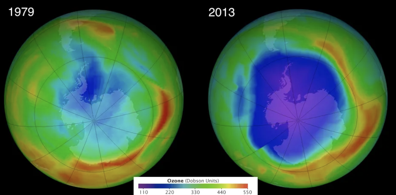 Are You Harming the Planet with AI?