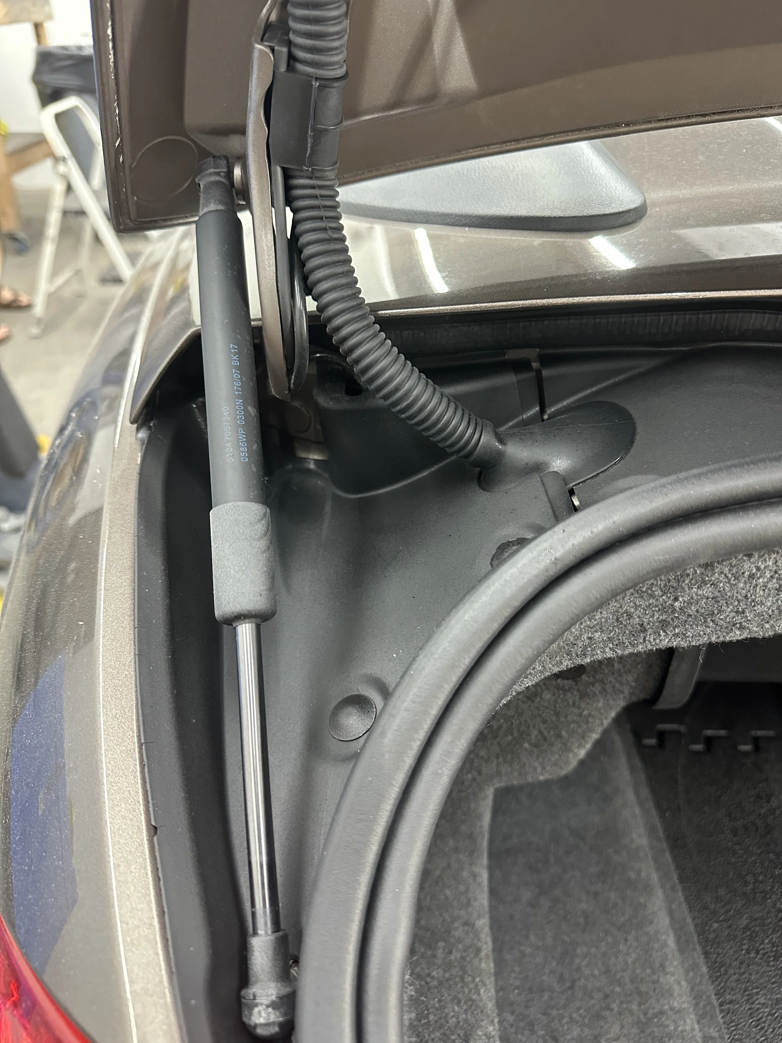 Copy of 24.1 (1).jpg