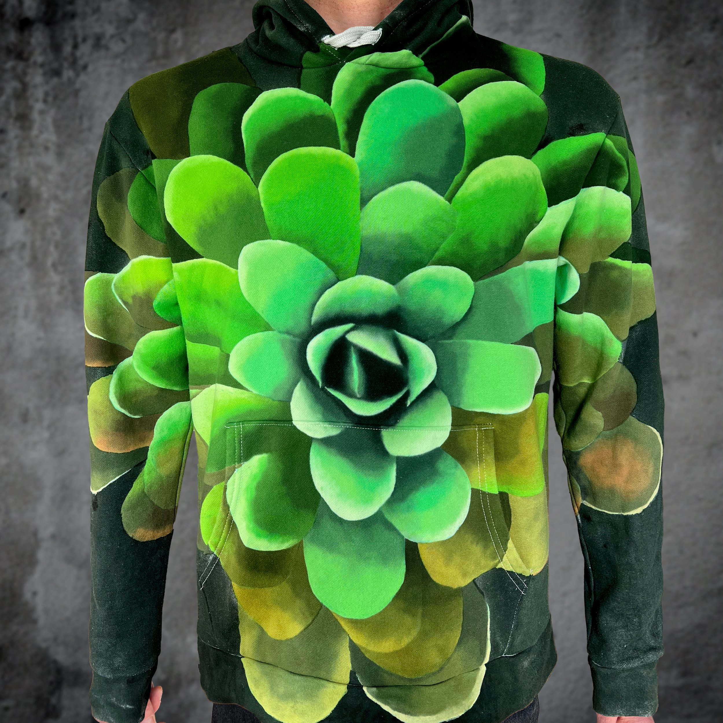 Pinguicula
