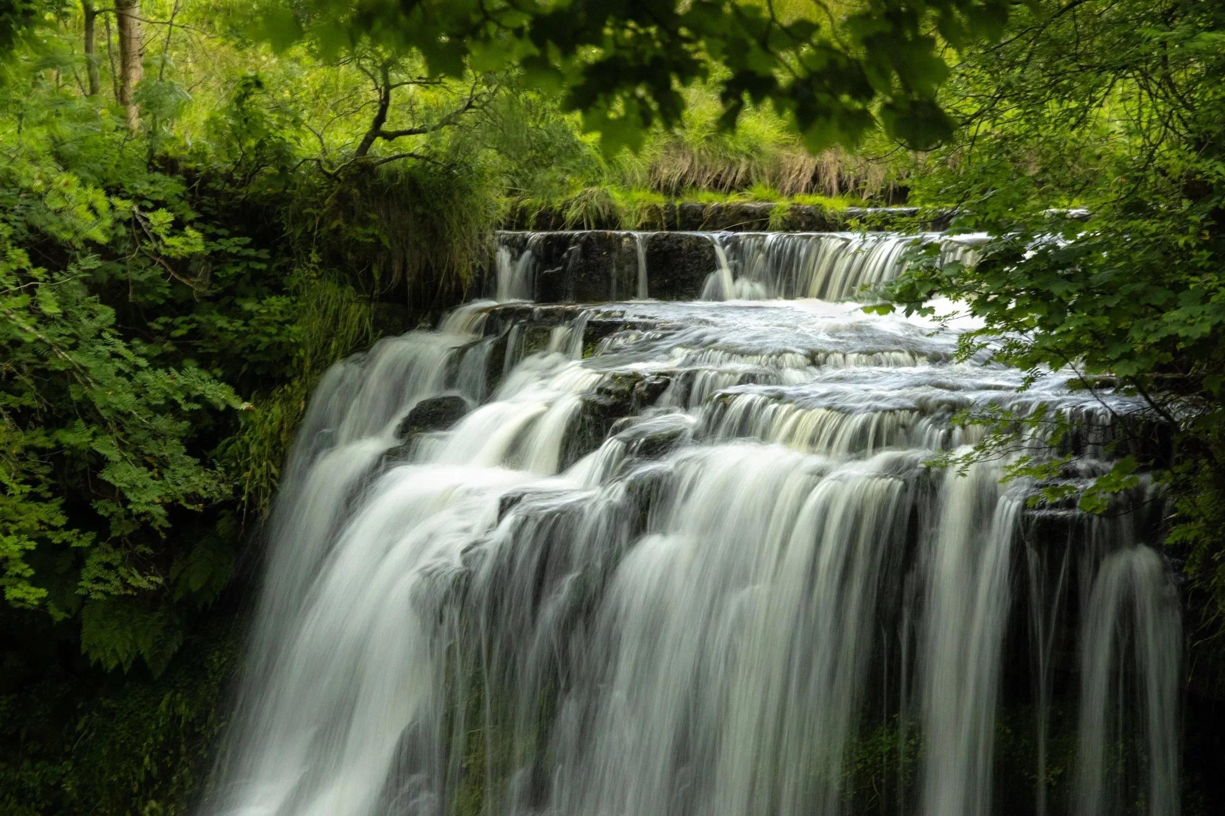 Aysgarth Falls, Yorkshire