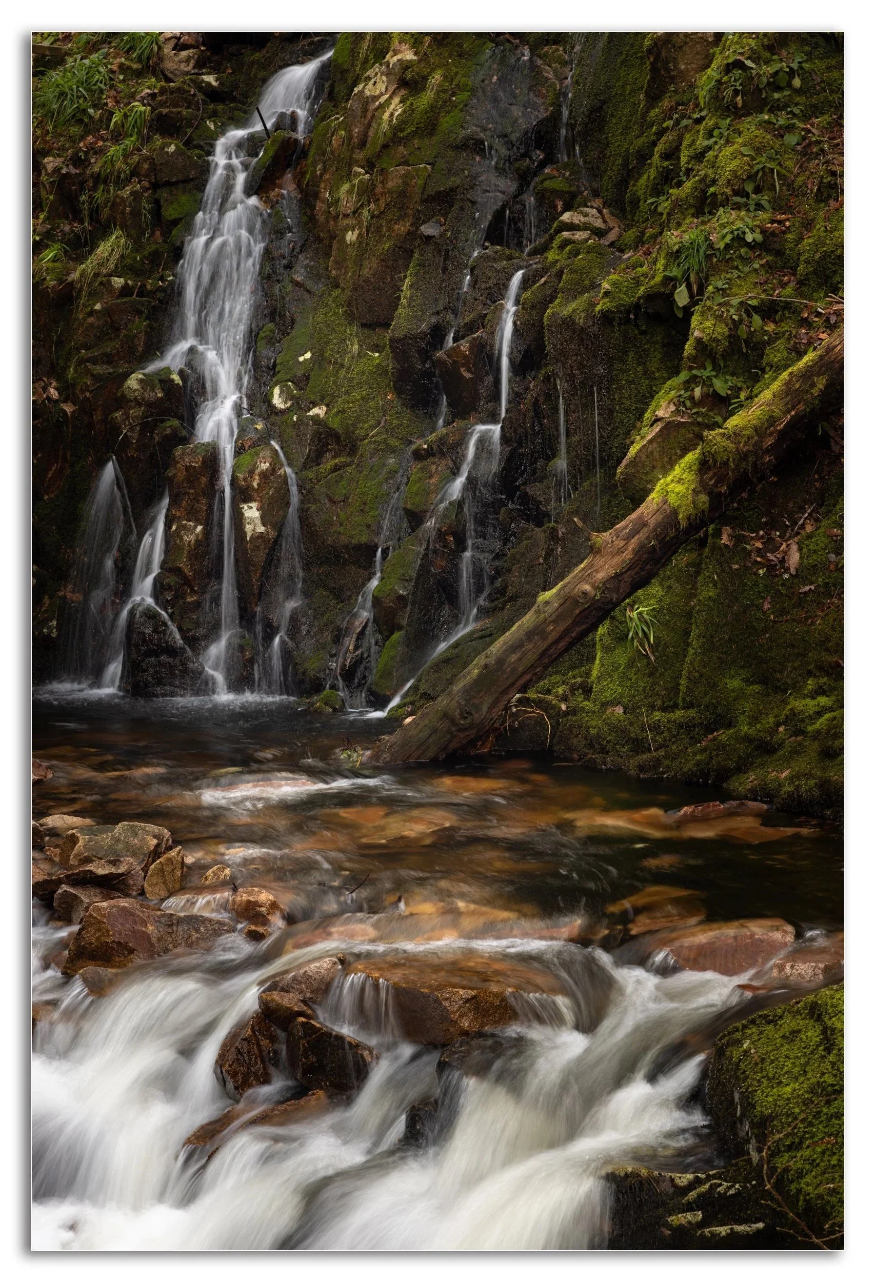Stanley Ghyll Falls