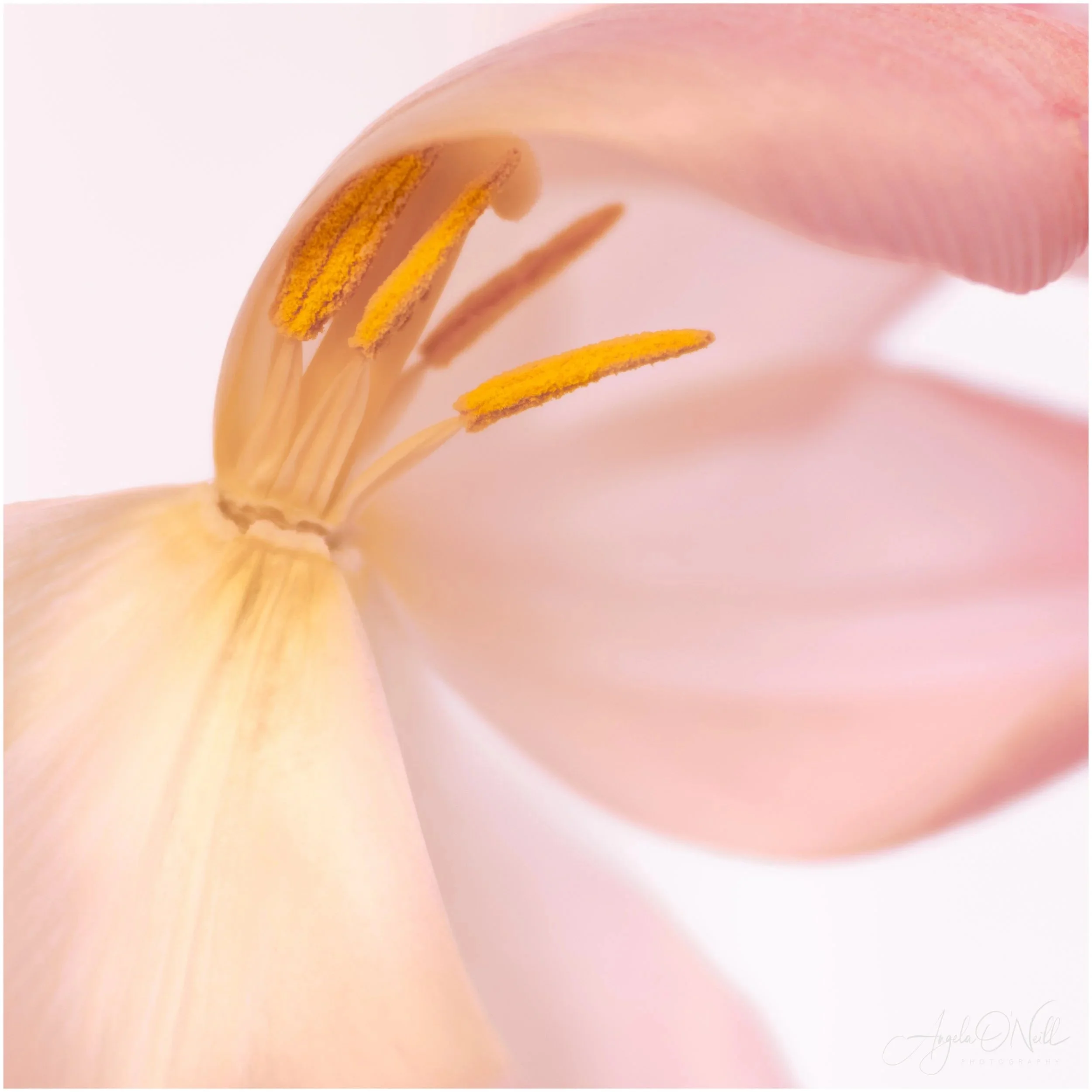 Sheltered