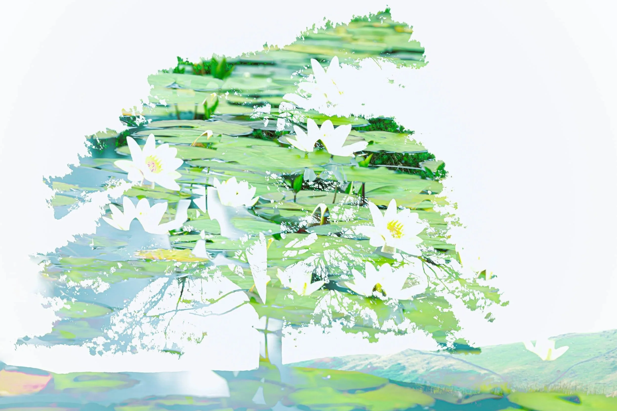 Kelly Hall Tarn - Multiple Exposure