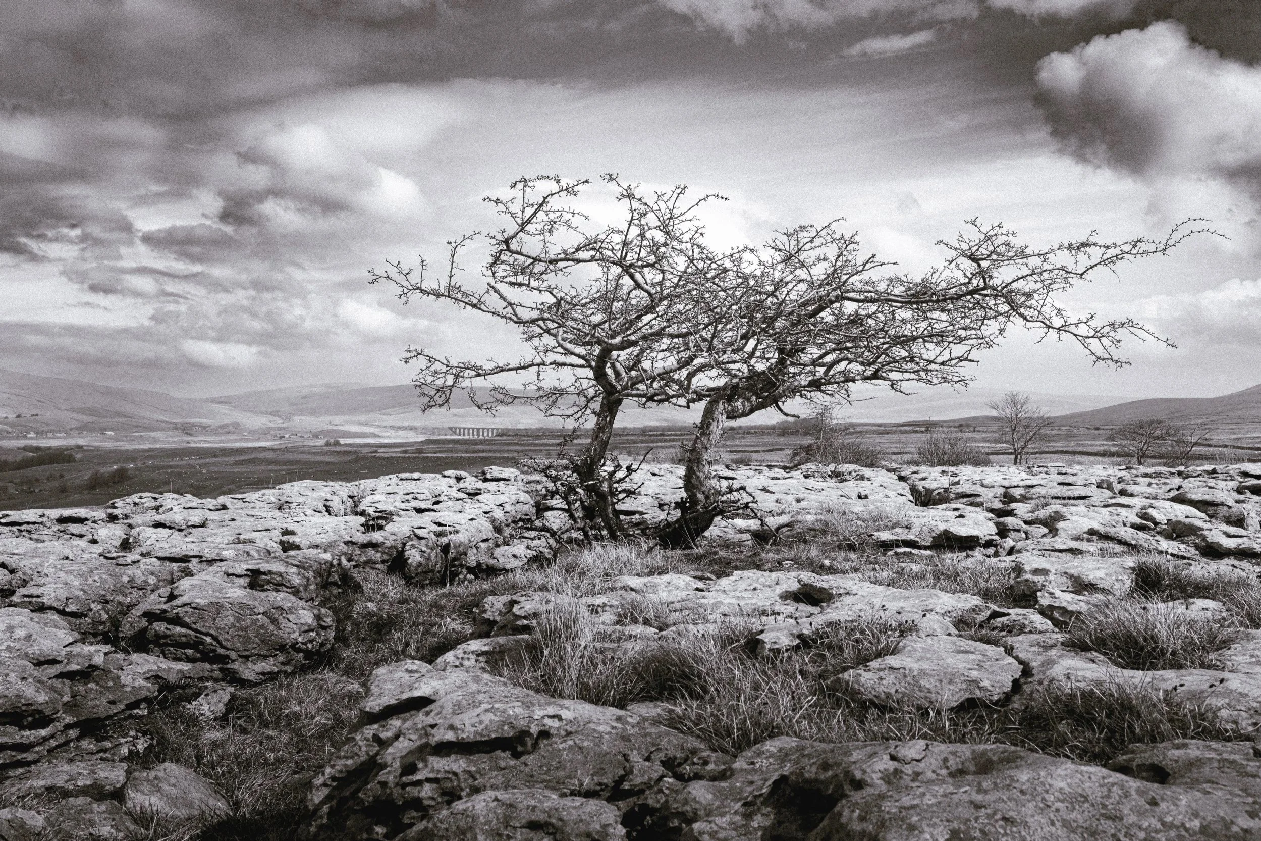 Southerscales, Yorkshire