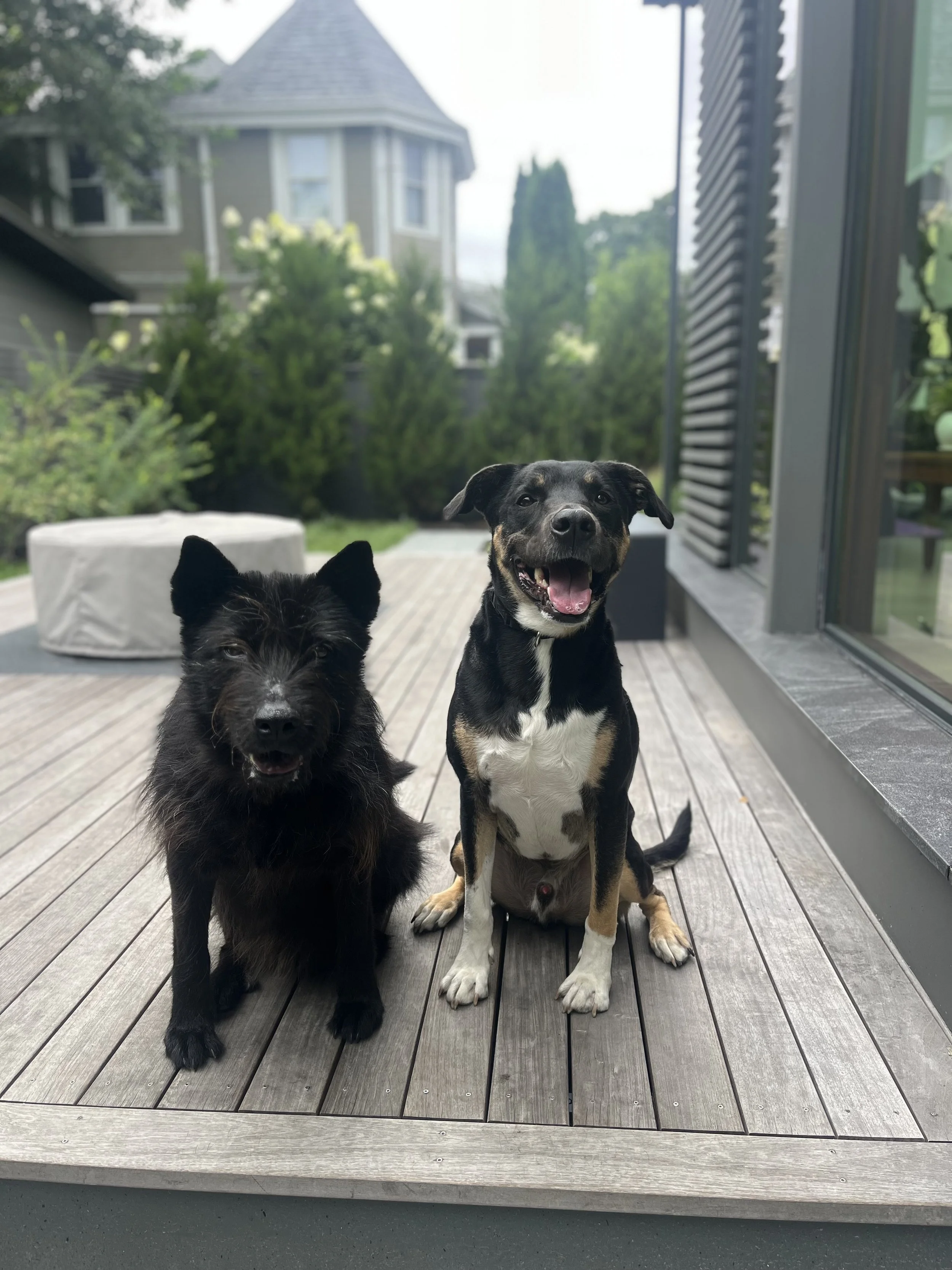 From Friends to Fighting