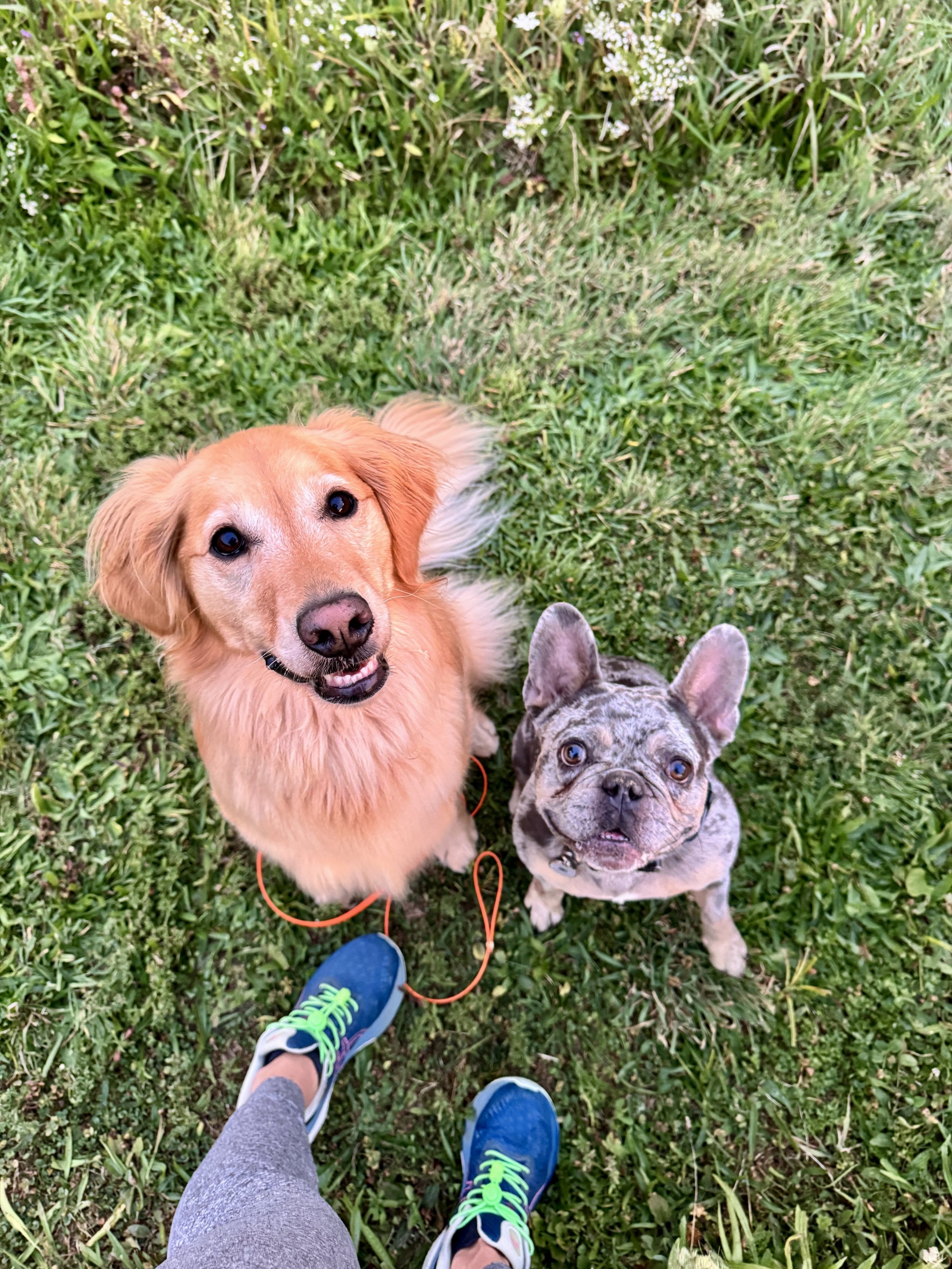 Training Isn’t a Linear Process