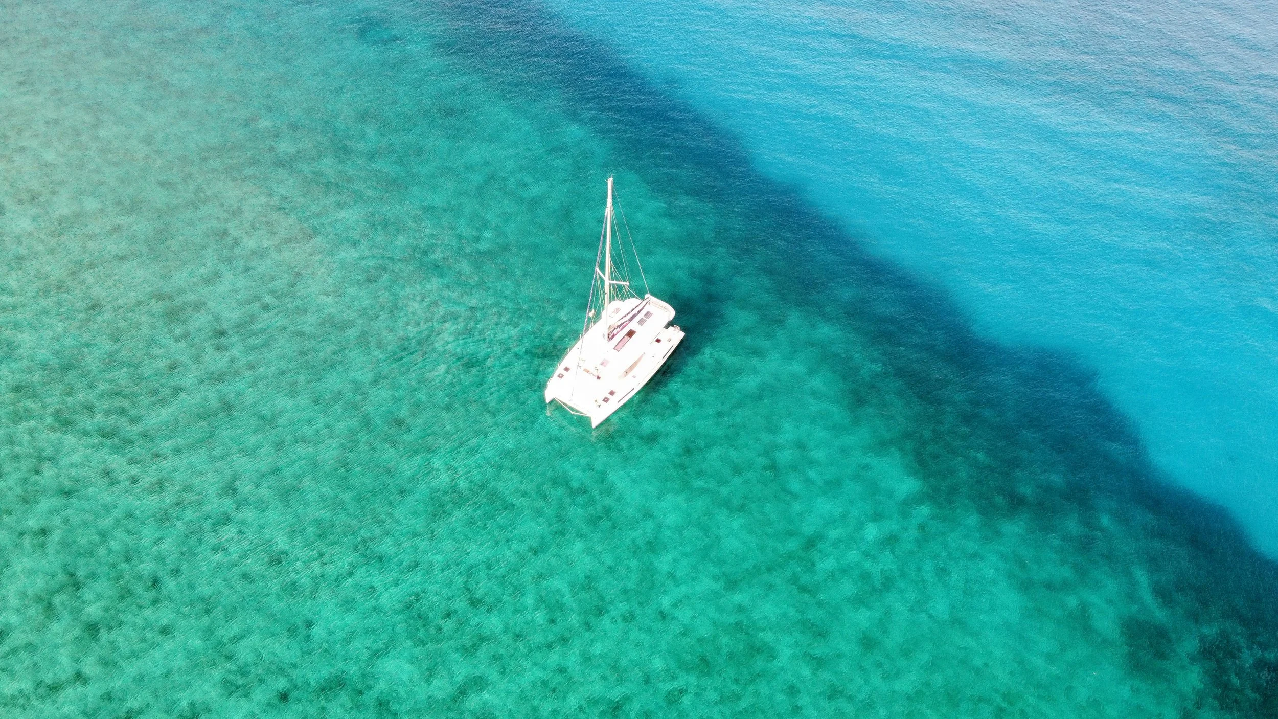 Lazy Leopard Charters