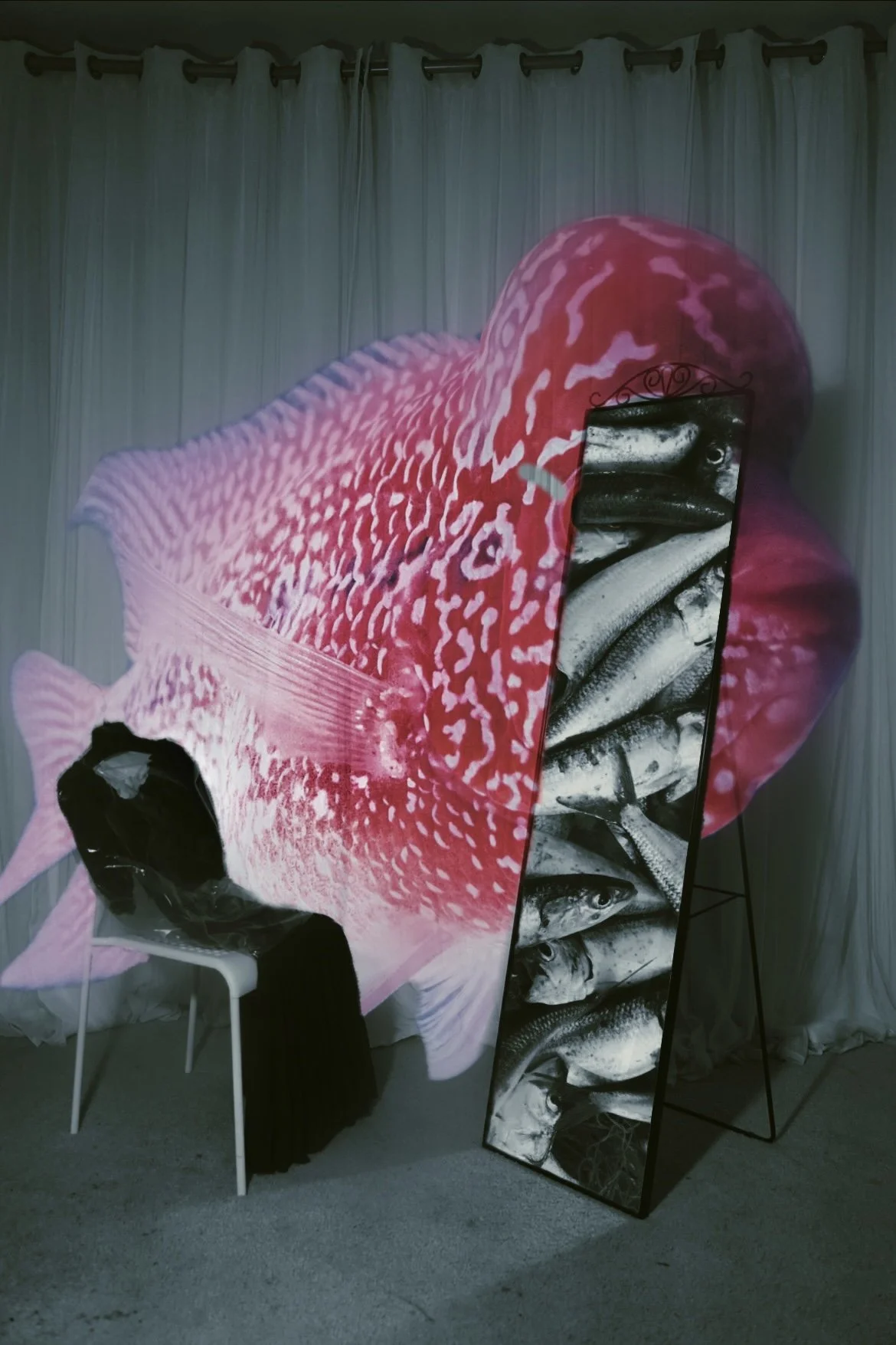Weird Fish Allegro
