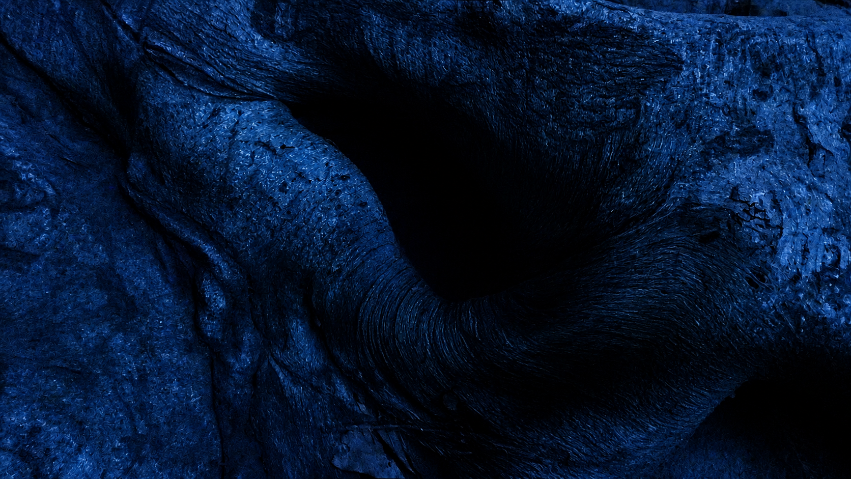 Bark