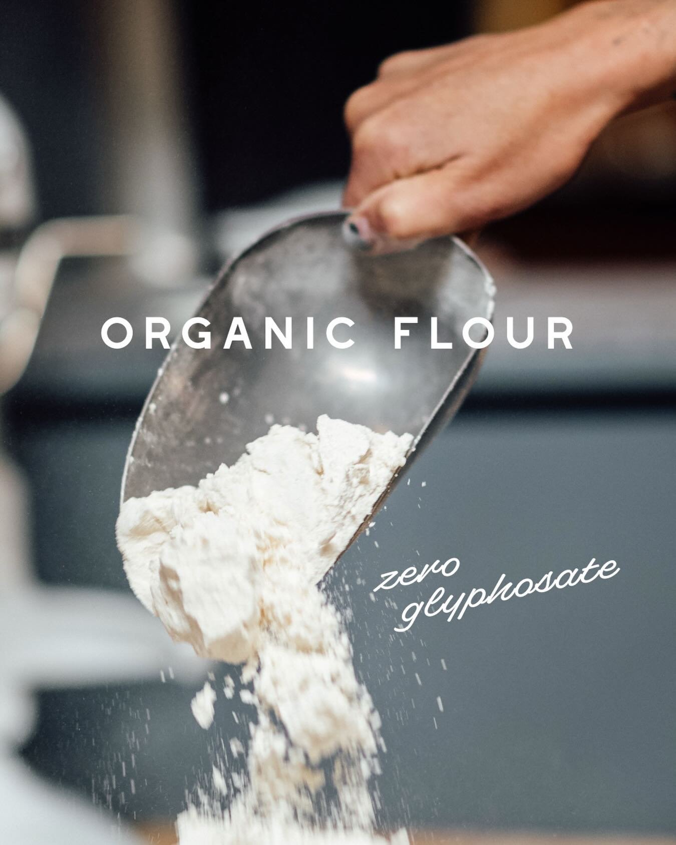 Seed oil free + organic glyphosate-free flour. Just one of the many ways we care about what goes into your food. 🤍🥐 📷: @japanese_hair_farmer 🧑&zwj;🎨: @jessypetrine @centralmilling  #theroseestablishment&nbsp;#slccafe&nbsp;#slcbakery&nbsp;#seedoi