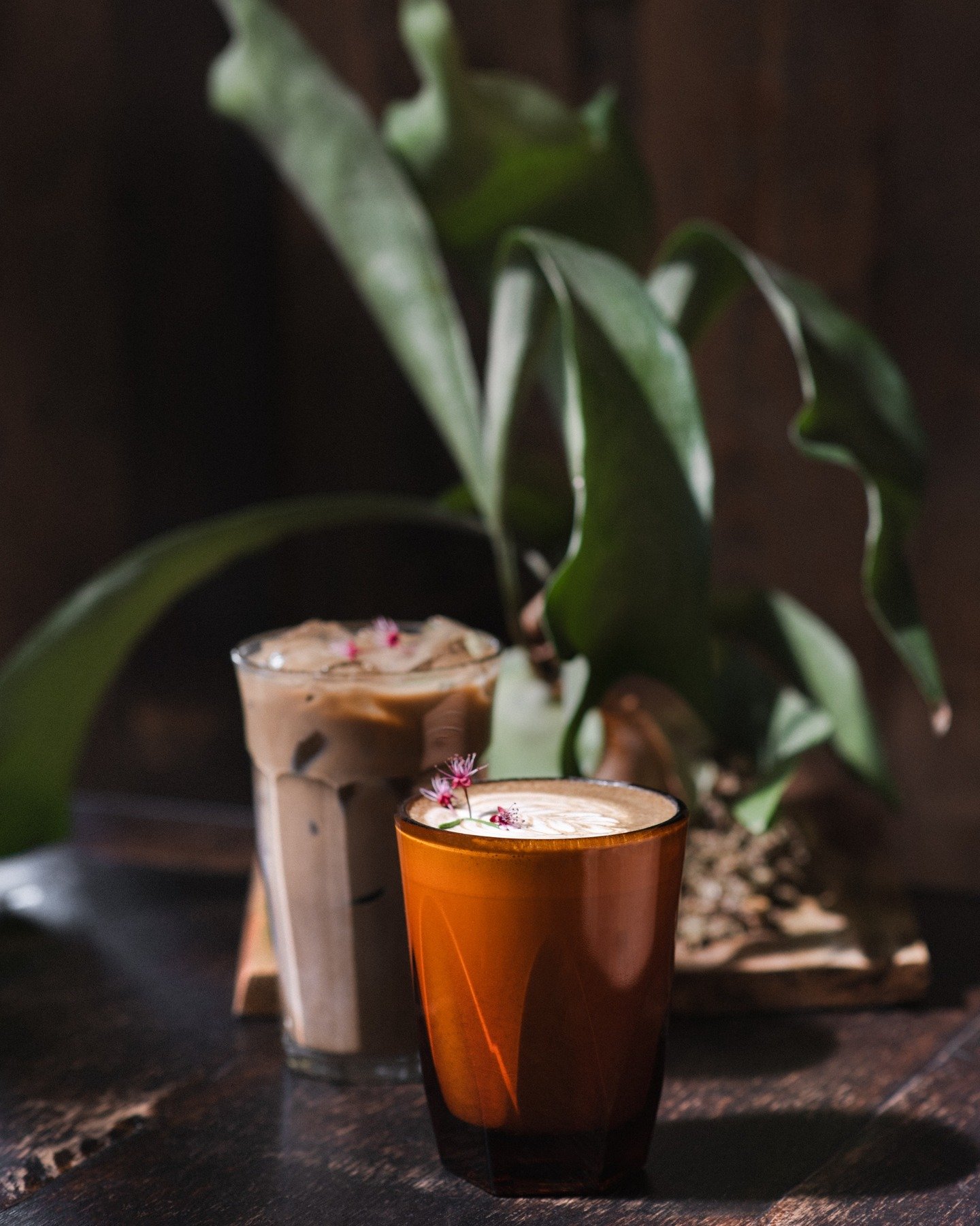 The Forest Floor 🌲
it looks like dirt but don&rsquo;t overthink it

📷: @japanese_hair_farmer 

#theroseestablishment&nbsp;#slccafe&nbsp;#slcbakery&nbsp;#seedoilfree #coffee #tea #thirdwavecoffee #brunch #slcrestaurants #downtown #healthyfood #glute