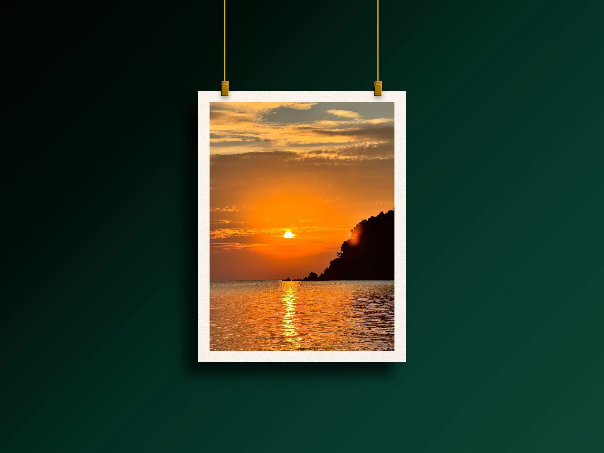 Ocean Gold