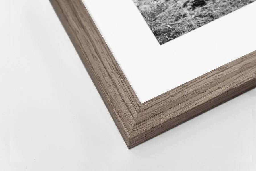 We Are All Vines by Dakota Limited Edition Photography Print Available in the Scandi Narrow Light Walnut frame.jpg
