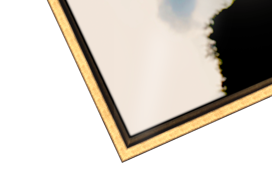 Red Day - Dakota Limited Edition Manhattan Tray Frame Gold.png