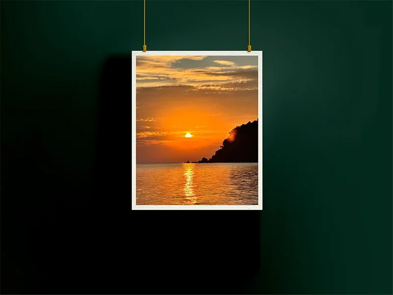 Ocean Gold