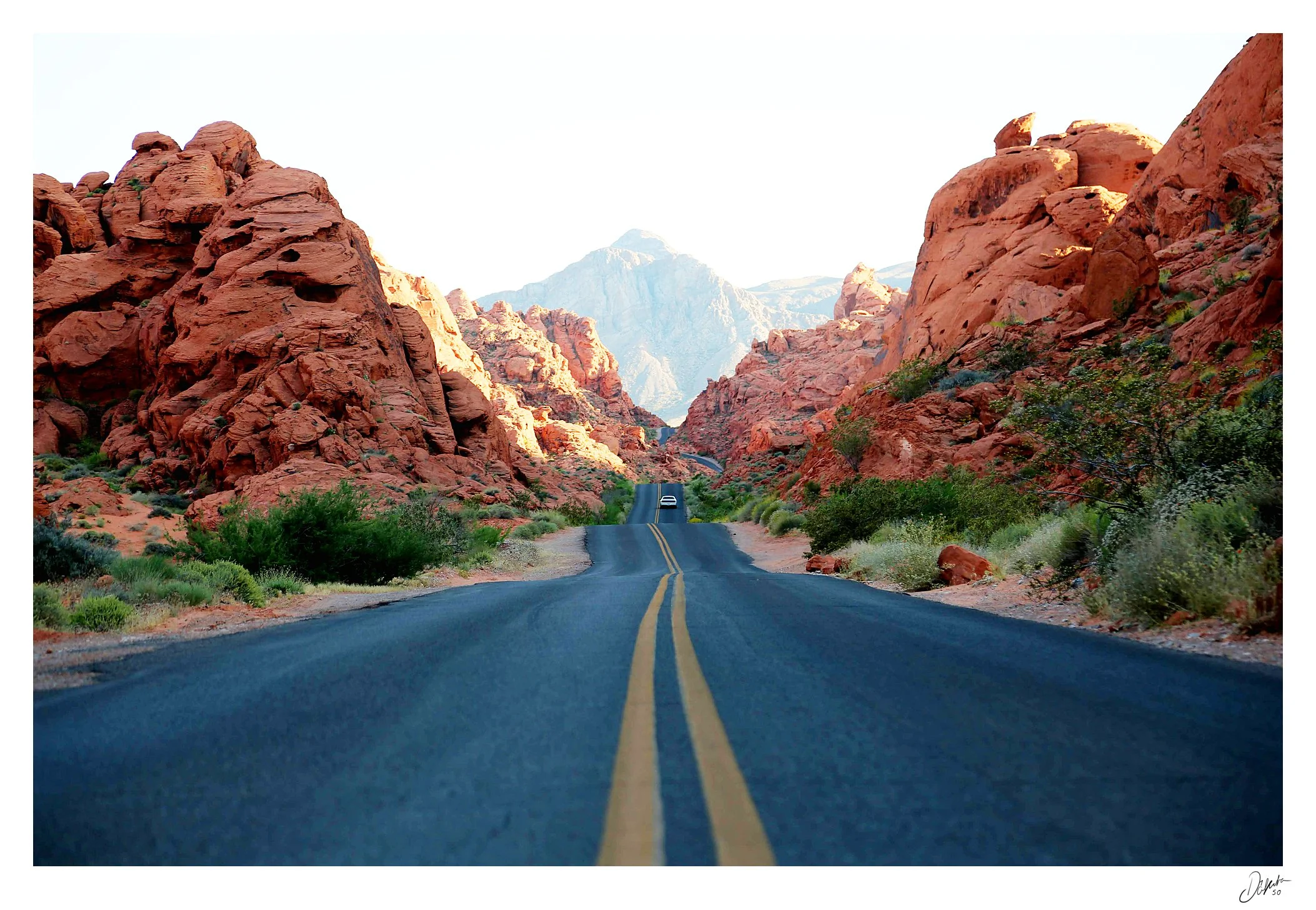 Rock N Drive - Dakota.jpg