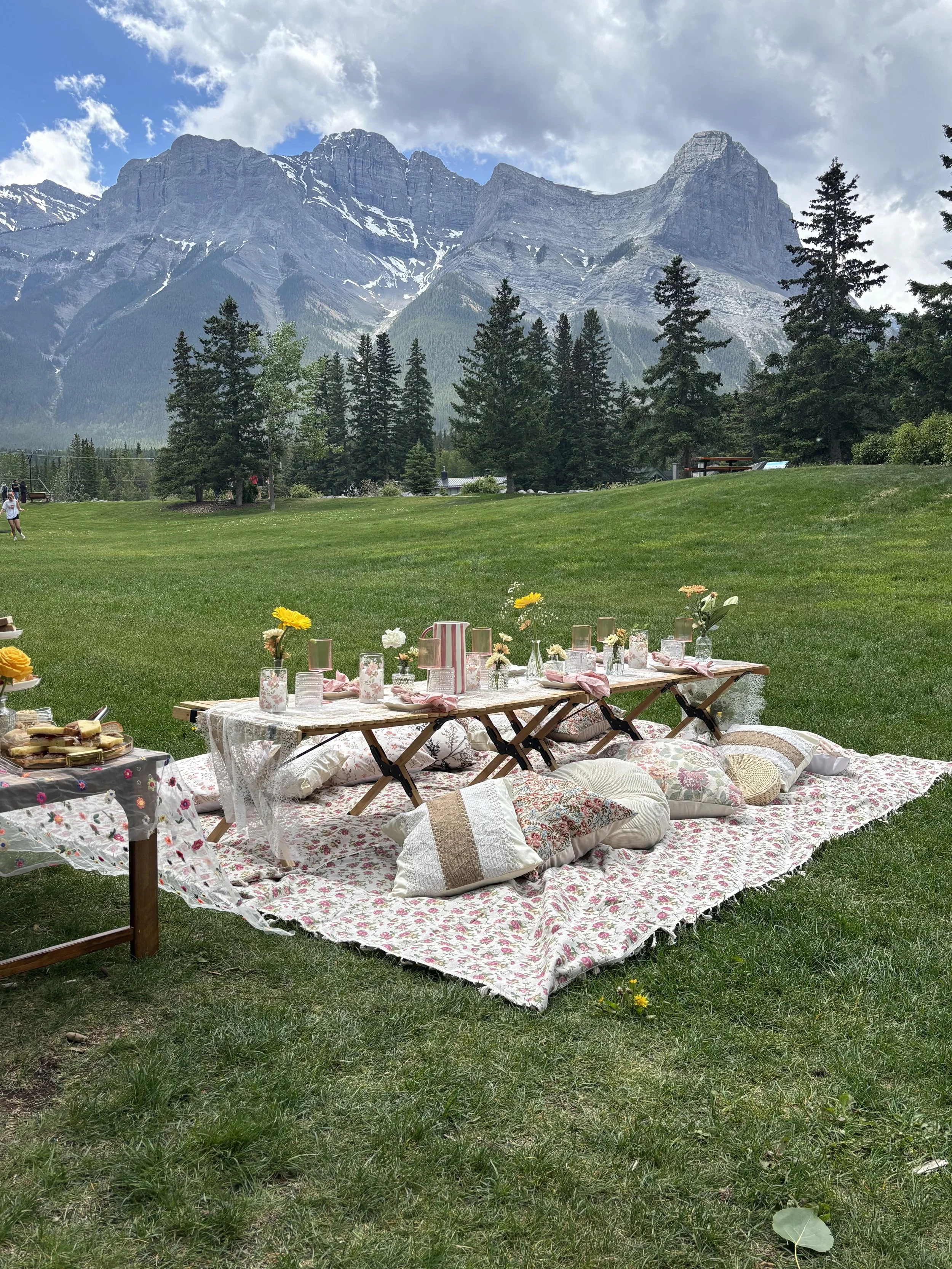 A picnic setup on a blanket with pillows and floral tableware on a grassy field, with tall pine trees and mountains in the background under a partly cloudy sky.