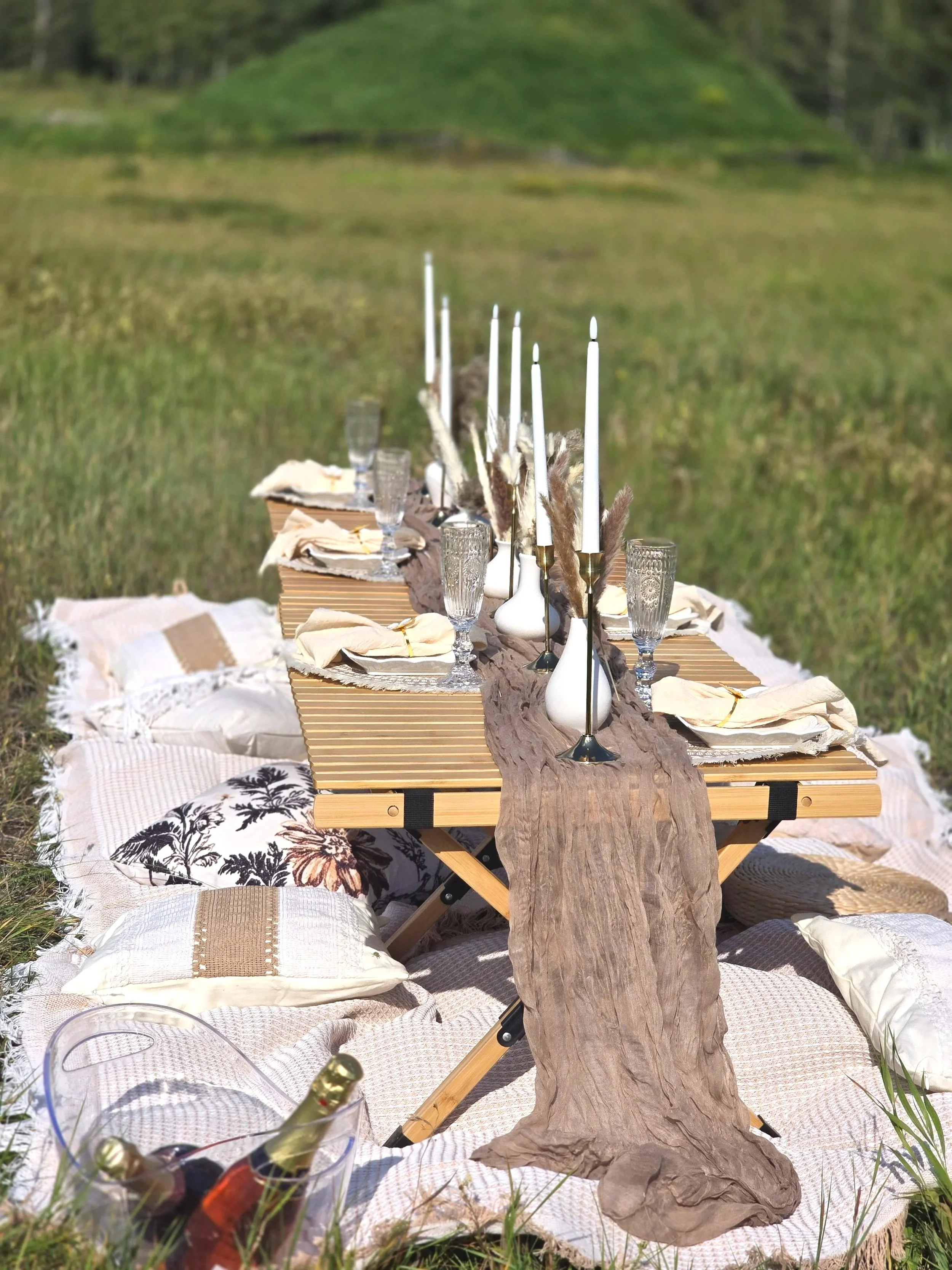 Picnic setup outdoors in Canmore, Alberta