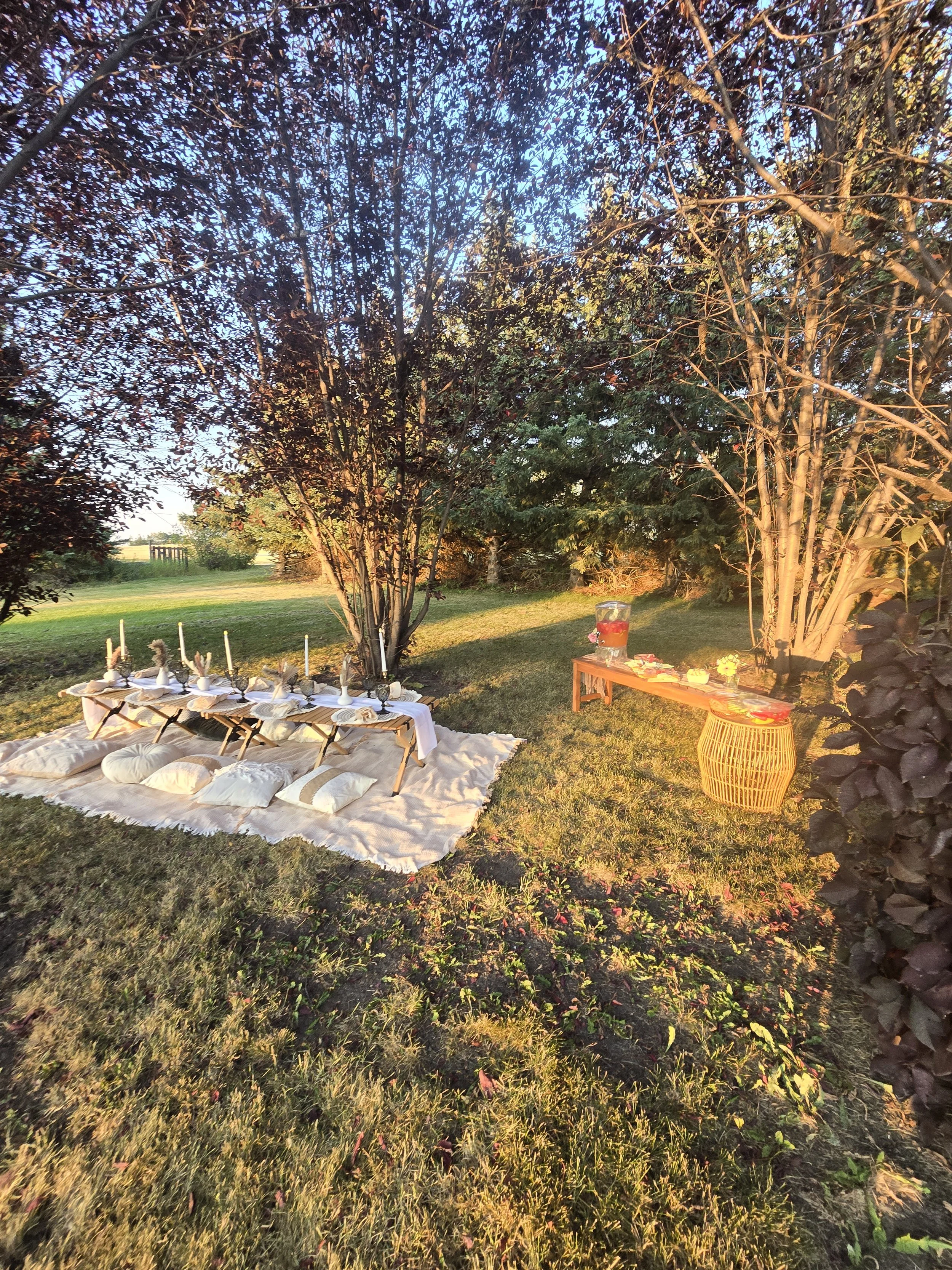 Outdoor evening scene with a picnic setup on a white cloth, including candles, plates, and decorative items, surrounded by trees and grass, with warm lighting and a clear sky.