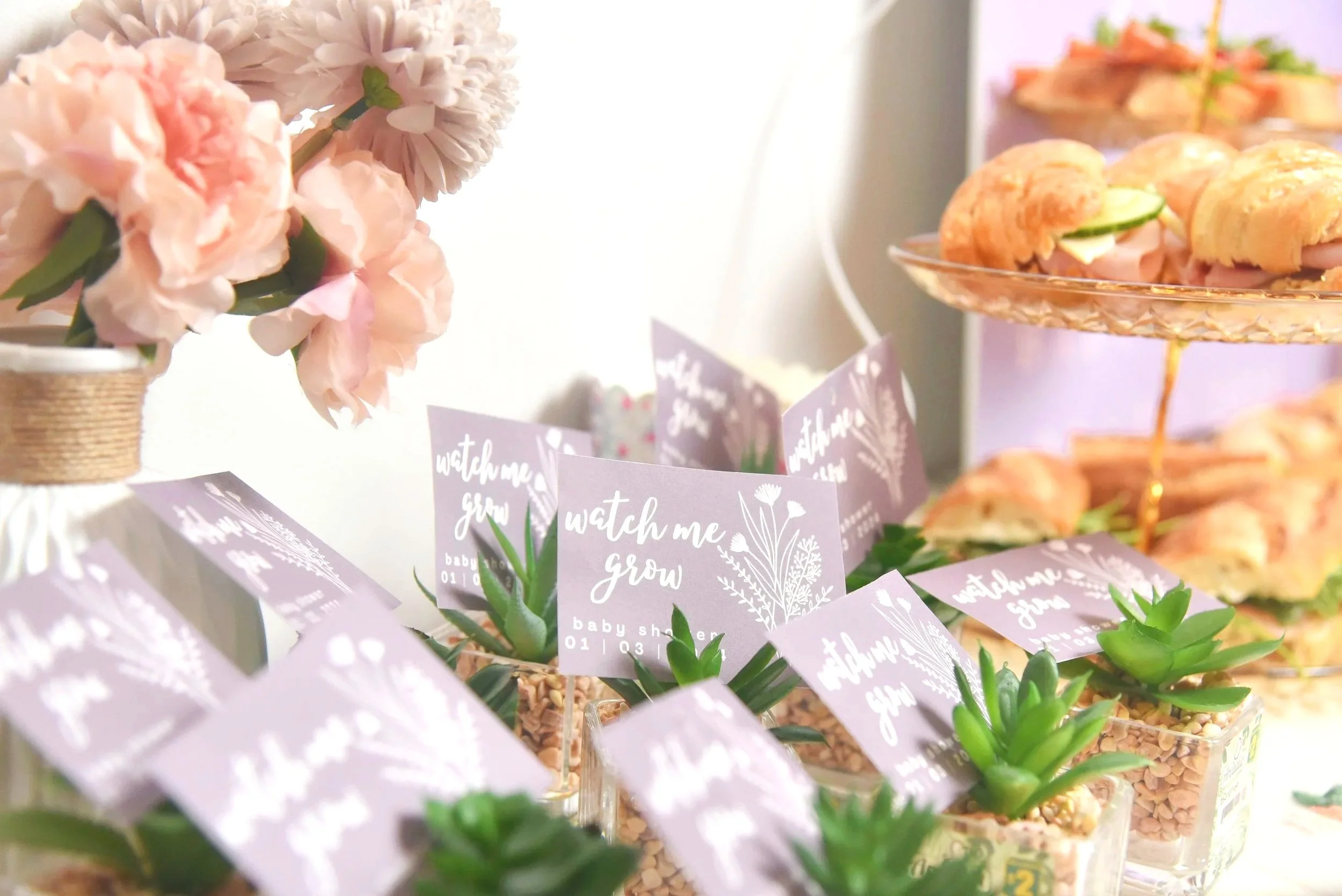 Succulent baby shower thank you gifts