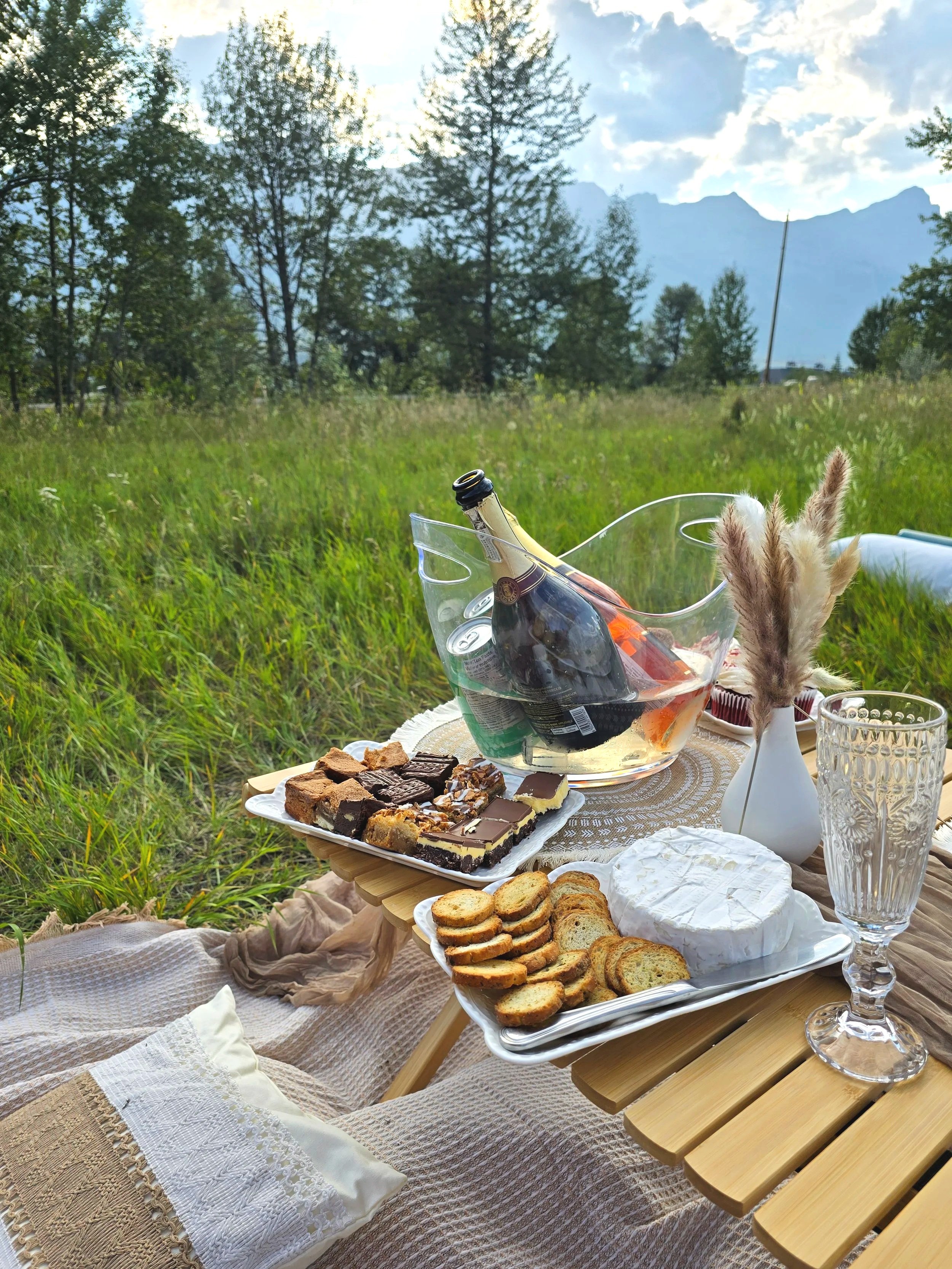 Picnic setup in Banff, Alberta with champagne and cheese