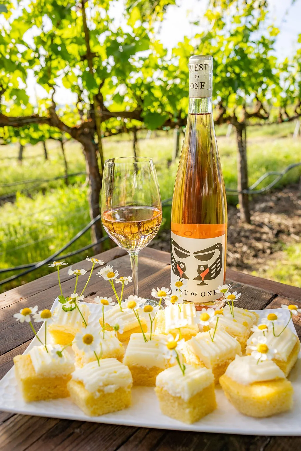 2025 Rosé of Pinot Noir