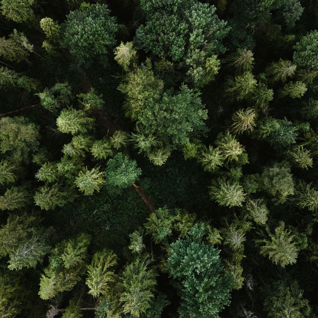 a7540b2f3c952f5b793e4e69d6a513f9.jpg