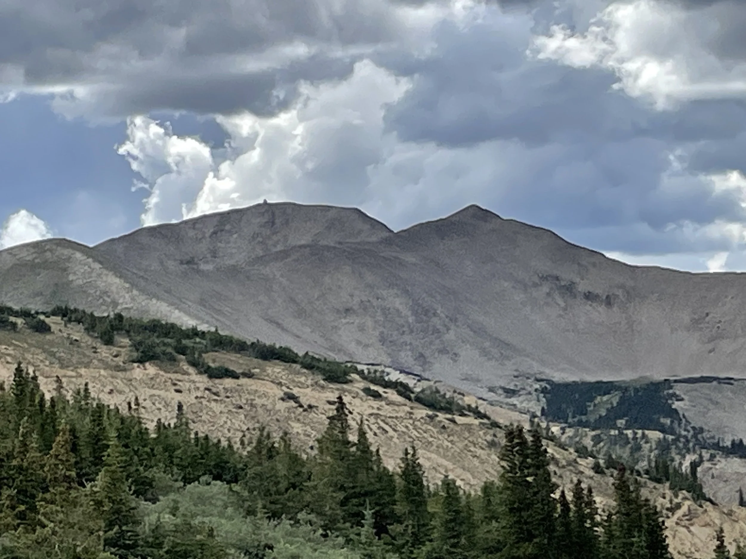 IMG_2467.jpg