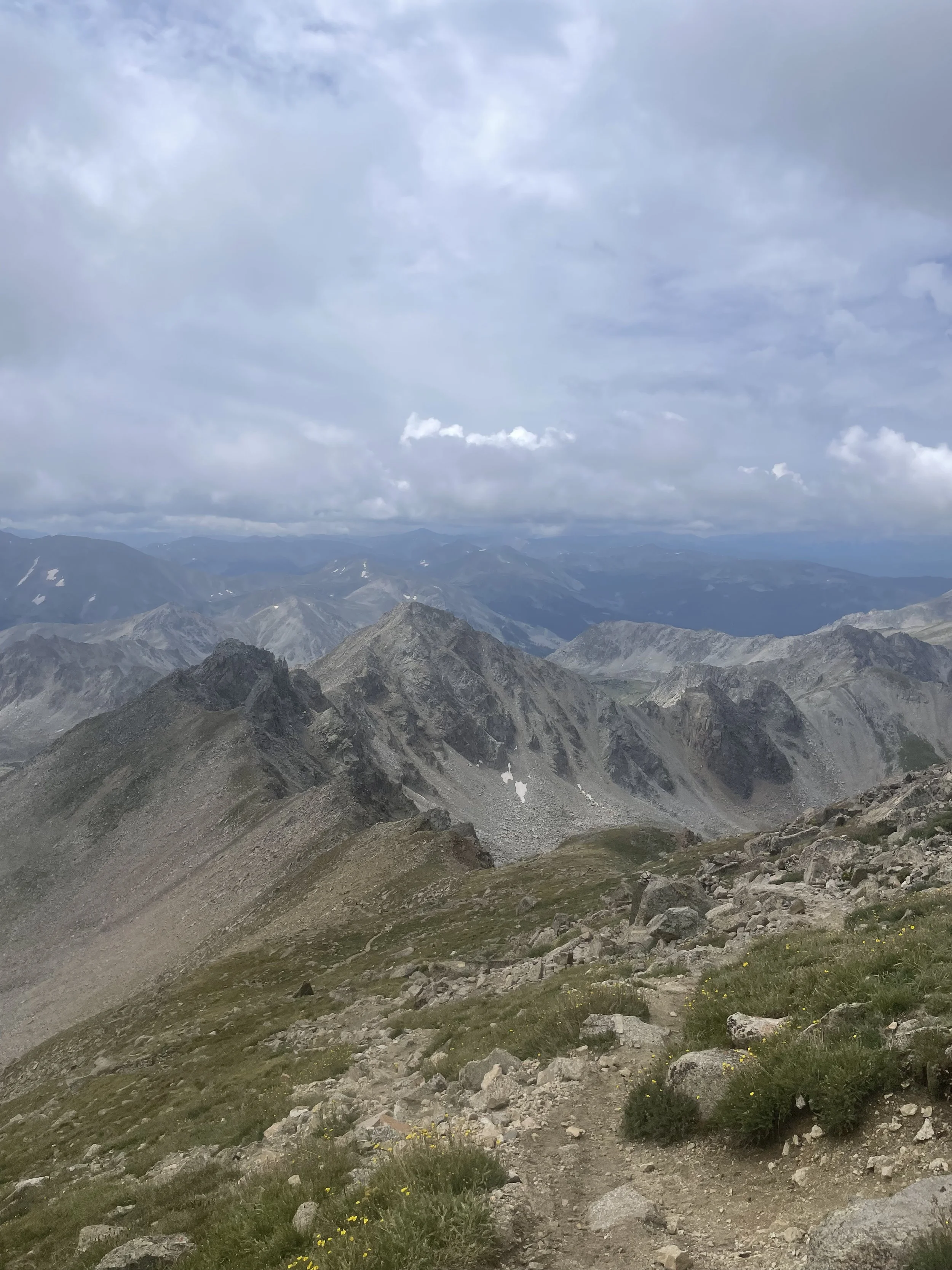 IMG_2485.jpg